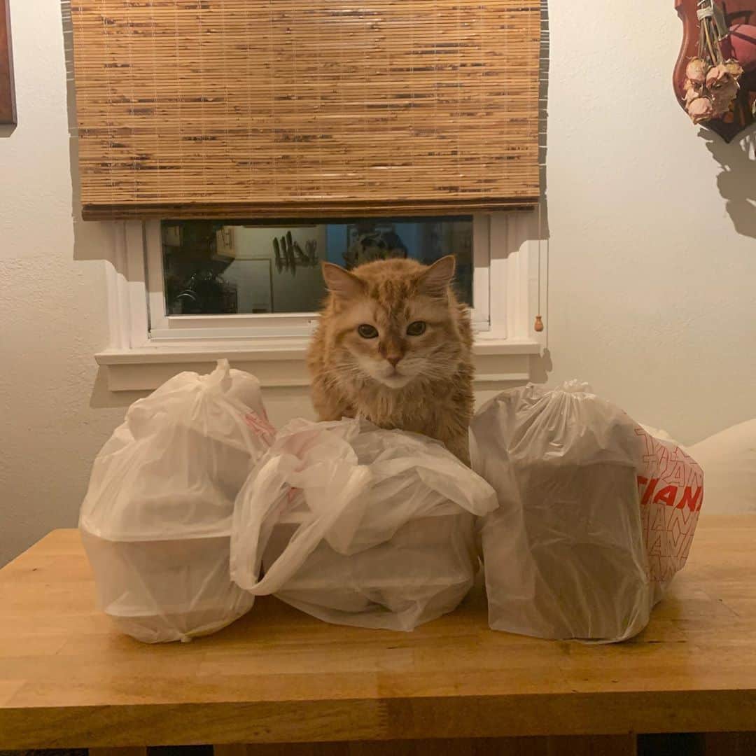 ベスト・コーストさんのインスタグラム写真 - (ベスト・コーストInstagram)「“what a year this day has been, what a day this year has been” - me」11月10日 4時53分 - best_coast