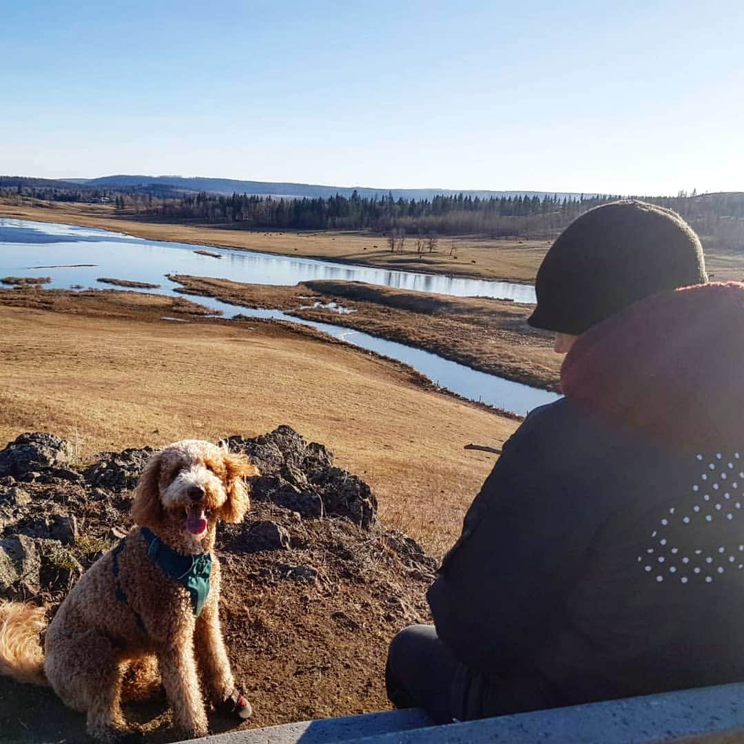 ソフィー・シュミットのインスタグラム：「Final day of self isolation Canada version! Wouldn't of made it without the pup. Love love LOVE her so much! 📸 @nickylekiwi」