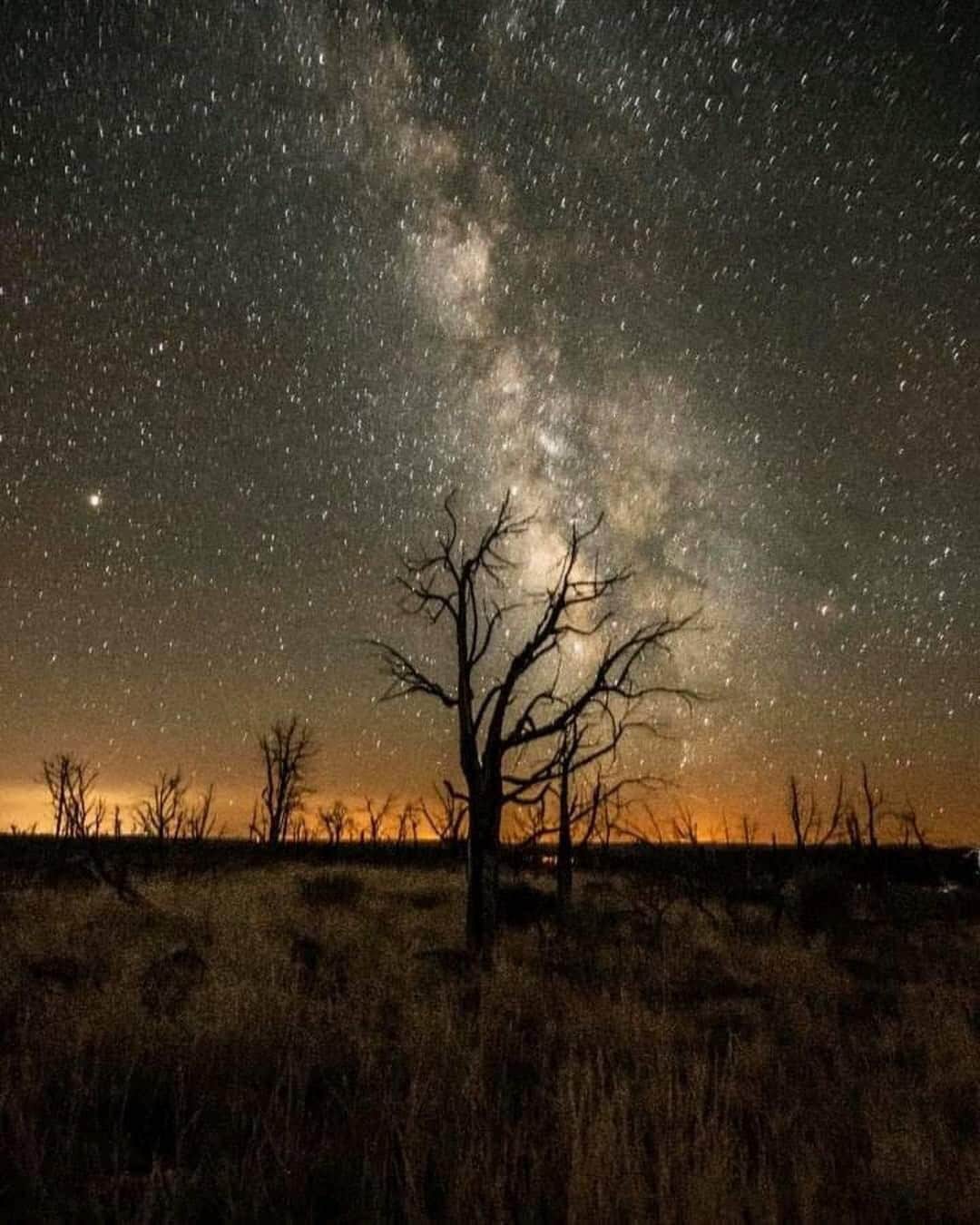 Ricoh Imagingのインスタグラム：「Dark and starry skies captured by our ambassador Frank Lee Ruggles, Photographer with the Pentax 645Z.」