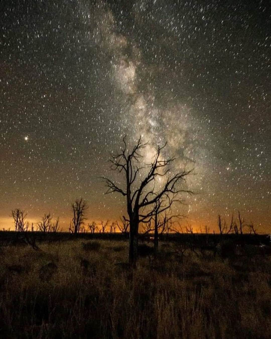 Ricoh Imagingさんのインスタグラム写真 - (Ricoh ImagingInstagram)「Posted @withregram • @frankleeruggles The dark skied out here are simply perfect.  @mesaverdenps #mesaverde  #mesaverdenationalpark  #colorado #coloradoinstagram #pentax645z #pentax645ambassador @ricohpentax @ricohusa  #mediumformat  #Ricoh #Pentax milkyway #nightsky  #instaphoto #landscapephotography #nationalparkgeek  @nationalparkservice #ig_astrophotography  #nightphotography #longexposure  #natgeospace #milkywaygalaxy @milkywaychasers @nationalparktrust @usinterior #earth_shotz #NPGeekAmbassador  #nationalparkgeek   #national_park_phototography #wanderlust  #picoftheday #photooftheday.  #istagood #nofilter #igers #picoftheday  #instapic #photooftheday」11月10日 6時21分 - ricohpentax