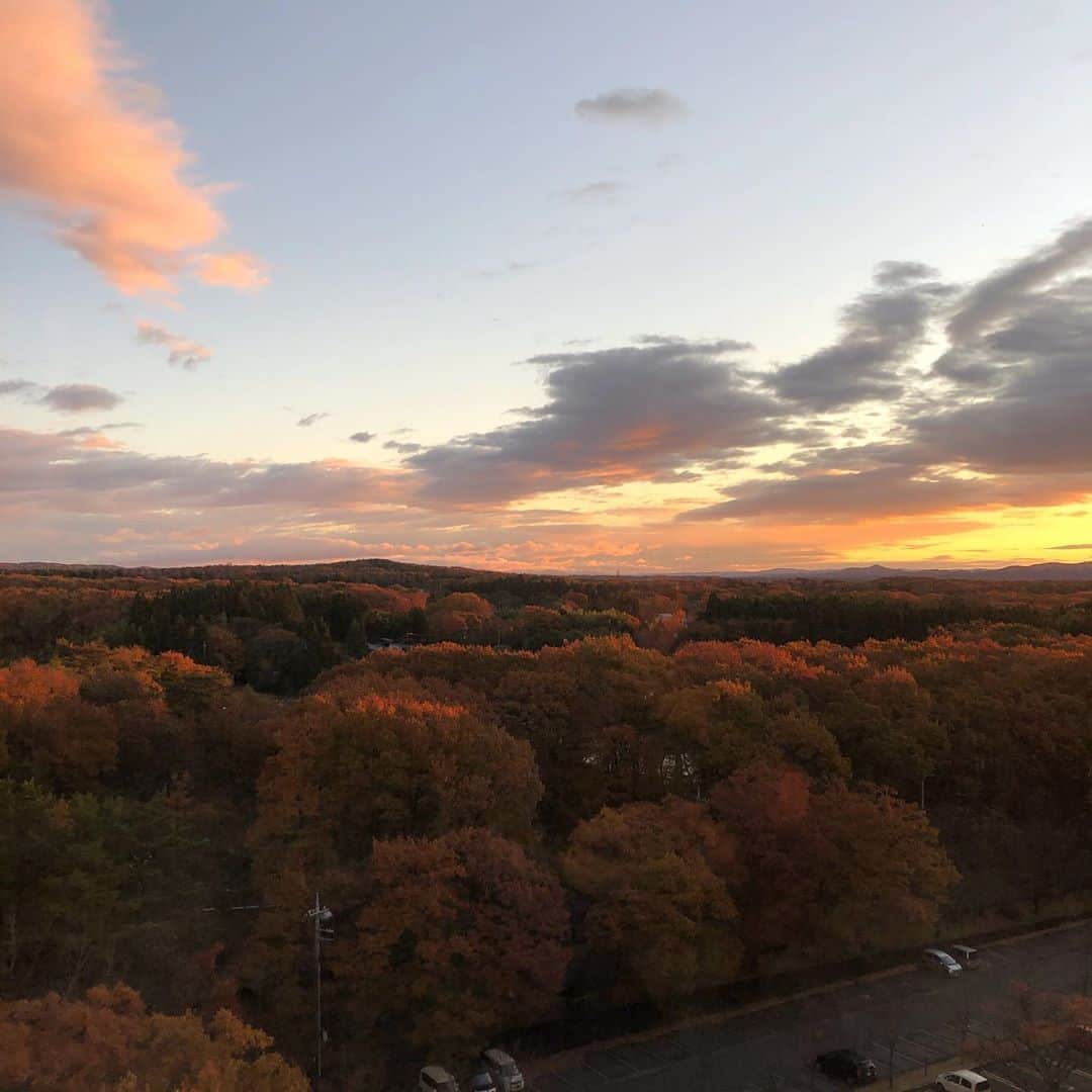 井原早紀のインスタグラム：「どこまでも続く紅葉と、朝焼け☀️ 那須高原、ほんとに美しい。  息子たちに叩き起こされたけど、気持ちのいい朝です☺️✨  gotoトラベルを使って3泊します🙏ありがたや〜。  #那須高原#那須#那須旅行#家族旅行#国内旅行#栃木#gotoキャンペーン#子連れ旅行#男の子ママ#兄弟#エピナール那須」