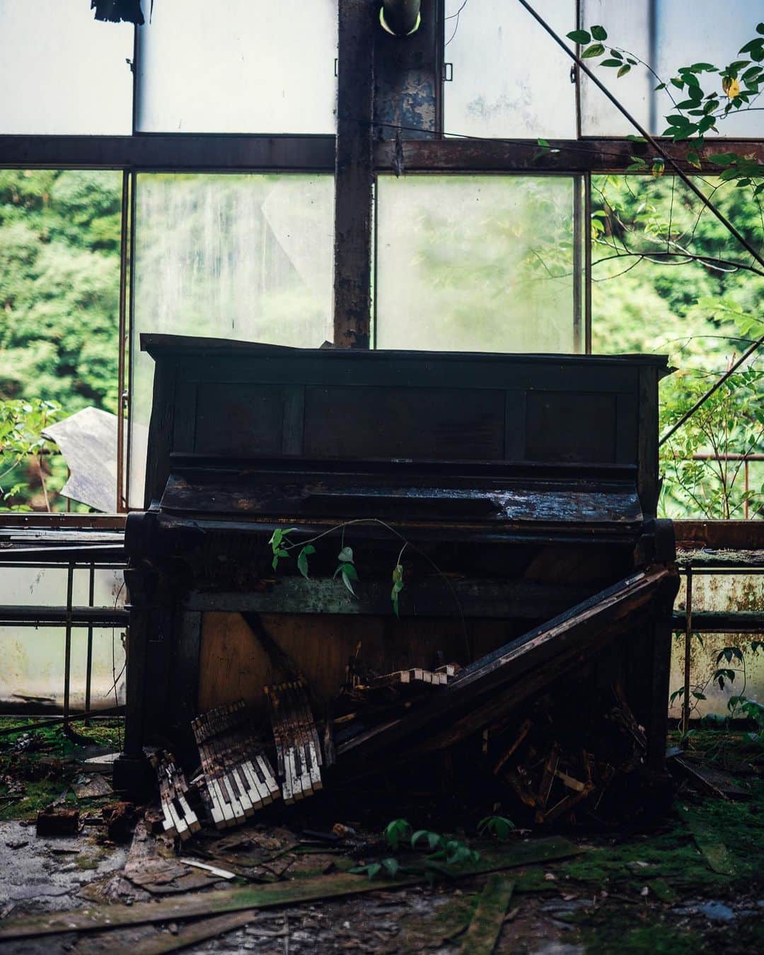 啝 （わ）さんのインスタグラム写真 - (啝 （わ）Instagram)「Abandoned piano 𓆲 𓆲 𓆲 #abandonedafterdark #urbex_supreme #desertedplaces #abandon_seekers_ #urbex_regards #welcometwoneverland #kings_abandoned #abandonedcentral #the_urbex_institute #renegade_abandoned #rsa_preciousjunk #glitz_n_grime #gotrespassing #savethedecay #bandorebelz #abandoned_addiction #abandoned #urbex #global_urbex #urbex_utopia #abandonig #allabandoned #urbex_kings #sombrexplore #grime_lords #urbxtreme #all_is_abandoned #discarded_butnot_forgotten #廃墟 #made_in_decay」11月10日 7時01分 - neji_maki_dori
