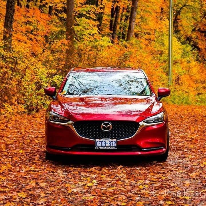 MAZDA Canadaのインスタグラム：「An exhilarating driving experience with a bold statement. The Mazda6. 📸: @_jography_」