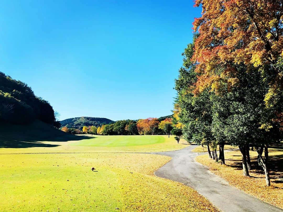 黒田アーサーさんのインスタグラム写真 - (黒田アーサーInstagram)「昨日は久しぶりの⛳️ラウンドでした😊✨最高のお天気の中、野球放送でお馴染みの山田透アナ(日本放送ショーアップナイターやプロ野球ニュース)と間宮社長、今井社長と久しぶりにご一緒しました😊✌️埼玉県の美里ゴルフ倶楽部は紅葉に染まり本当に綺麗でした‼️ゴルフも皆んな調子が良くて楽しい1日でした💕😉 #美里ゴルフ倶楽部  #山田透アナウンサー  #間宮社長 #居酒屋さざん今井社長 #紅葉が綺麗  #皆んなスコア良かった #楽しいゴルフでした  #golf #ping  #ピンゴルフジャパン」11月10日 7時23分 - kuroda_arthur