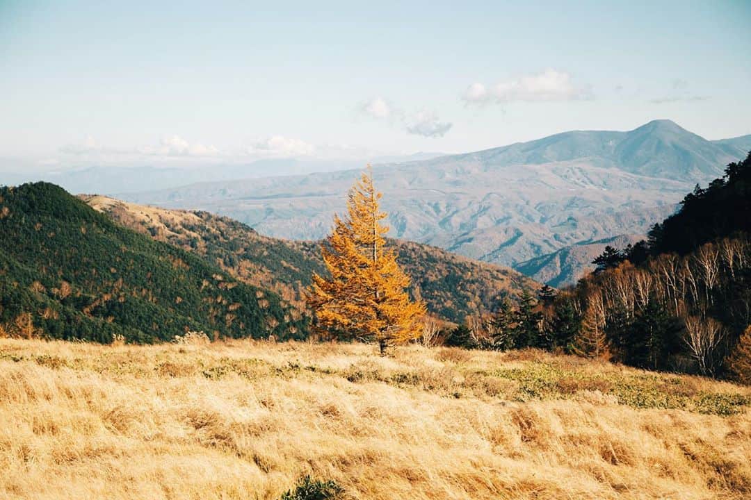 GENTAのインスタグラム：「🍂#ChasingAutumn」