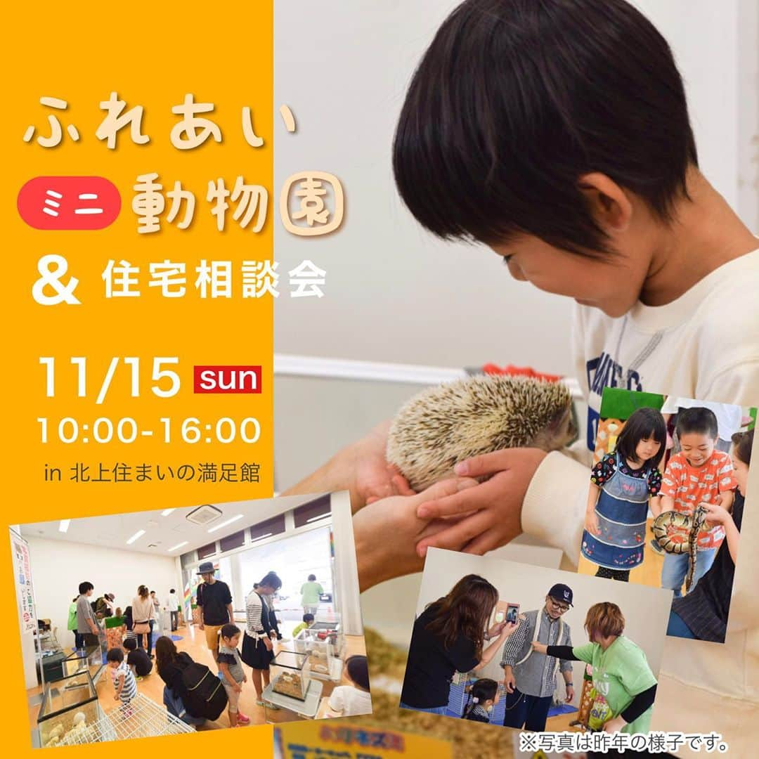 palcohomeさんのインスタグラム写真 - (palcohomeInstagram)「＼パルコホーム　イベント情報／ ⠀ 11月15日(日)北上市にある住まいの満足館にて ふれあいミニ動物園&住宅相談会を開催します！🦔🦉 ⠀ 【イベント内容】 ★ミニ動物園 ふくろうカフェricky盛岡店様 (@rickystaff.morioka )に全面協力いただき、 かわいい動物たちが住まいの満足館にやってきます😍  ふくろう・カメ・うさぎ・モルモット ・ヘビ・ひよこ・ハリネズミ・ミニブタたちなど (※動物さんの体調により変動します) 普段、動物園でしか見られない動物たちを 間近に見て触れ合えるのは癒されること間違いなし！☺️ ⠀ お子様に限らず、大人の方も楽しめるイベントです！ ⠀ 家づくりをまだ考えていないという方でも歓迎です！ ぜひ動物さんたちに癒されにお越しください🦔💕 ⠀ ⠀ 同時開催で住まいに関するご相談も承ります🏡 ⠀ 土地や予算などの分かりにくいお話しも スタッフ(@palcohome.hanakita )が 丁寧にお答えします！😊 ⠀ 当社の家づくりの流れや商品について 聞いてみたい方もぜひお気軽にお声かけくださいね🦉 ⠀ もちろん、それ以外の 住宅に関するご相談もOK☺︎ ⠀ 参加料は無料ですので この機会にお悩み解決しちゃいましょう！ ⠀ ⠀ イベントに参加される際には 感染症対策として検温、来場アンケート アルコール消毒のご協力をお願いします🙇‍♀️ ⠀ ⠀ ◾️◾️◾️◾️◾️◾️◾️◾️◾️◾️◾️◾️ ⠀ 日程／11月15日(日)10:00-16:00 場所／住まいの満足館(岩手県北上市北鬼柳) 参加費／無料 ⠀ お申込み・お問い合わせ先 【住まいの満足館】0197-64-2566 ⠀ InstagramのDMからも申し込みできます👌 ⠀ ◾️◾️◾️◾️◾️◾️◾️◾️◾️◾️◾️◾️ ⠀ ⠀ ⠀ ＝＝＝＝＝＝＝＝＝＝＝＝＝＝＝＝＝＝＝ 🟩LINE公式アカウント ぜひ登録してね ☞ @palcohome_line ⠀ ⠀ 🟥YouTubeチャンネル チャンネル登録よろしくお願いします😍 →パルコホームで検索！ ⠀ ＝＝＝＝＝＝＝＝＝＝＝＝＝＝＝＝＝＝＝ ⠀ ⠀ #北上支店ではもふもふイベントと呼ばれています #もふもふ隊長は今野さんです #もふもふ　 #ふくろう #ふくろうカフェ #へび#ハムスター #動物 #動物園 #動物好きな人と繋がりたい #動物好き   #パルコホーム #住まい #新築 #子育て #北上#花巻 #遠野 #こどものいる暮らし #おうちづくり #家づくり #子供のいる生活 #子供と暮らす #こどものいる暮らし #育児 #家族 #マイホーム計画  #マイホーム #家づくり計画 #マイホーム検討 #マイホーム計画中の人と繋がりたい」11月10日 18時54分 - palcohome