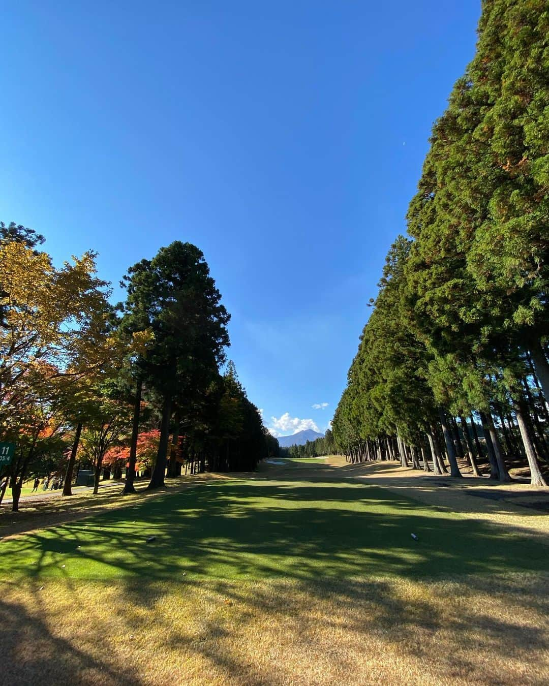 深堀圭一郎さんのインスタグラム写真 - (深堀圭一郎Instagram)「今週は 三井住友VISA太平洋マスターズです 今年も最高なコンディションに仕上がっている 太平洋クラブ御殿場コース 今日練習日でしたが 高速グリーンにタジタジでした 初日までにスピードを掴まないと大変な事になってしまいそうです 今年は無観客試合になってしまいましたが 選手の真剣なゴルフを放送で観ていただければ嬉しいです 今年も開催して下さり 感謝しかありません ありがとうございます  #三井住友ビザ太平洋マスターズ  #三井住友ビザカード  #太平洋クラブ御殿場コース  #tbs  #紅葉綺麗  #最高のコンディション  #深堀圭一郎」11月10日 17時29分 - keiichirofukabori