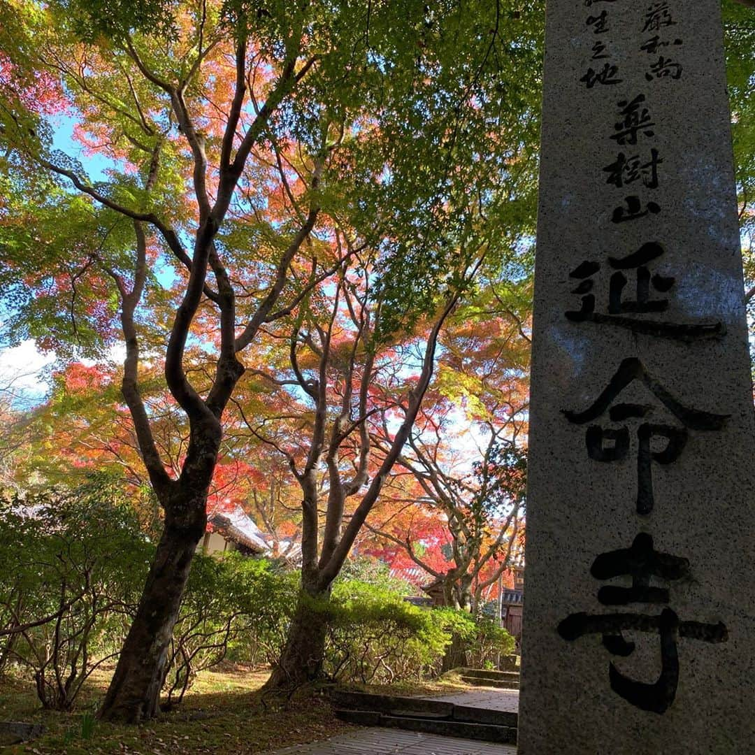 instameetuposakaさんのインスタグラム写真 - (instameetuposakaInstagram)「大阪　紅葉がめっちゃ綺麗です♪ #河内長野市 #河内長野　#延命寺」11月10日 17時29分 - osakamichibata