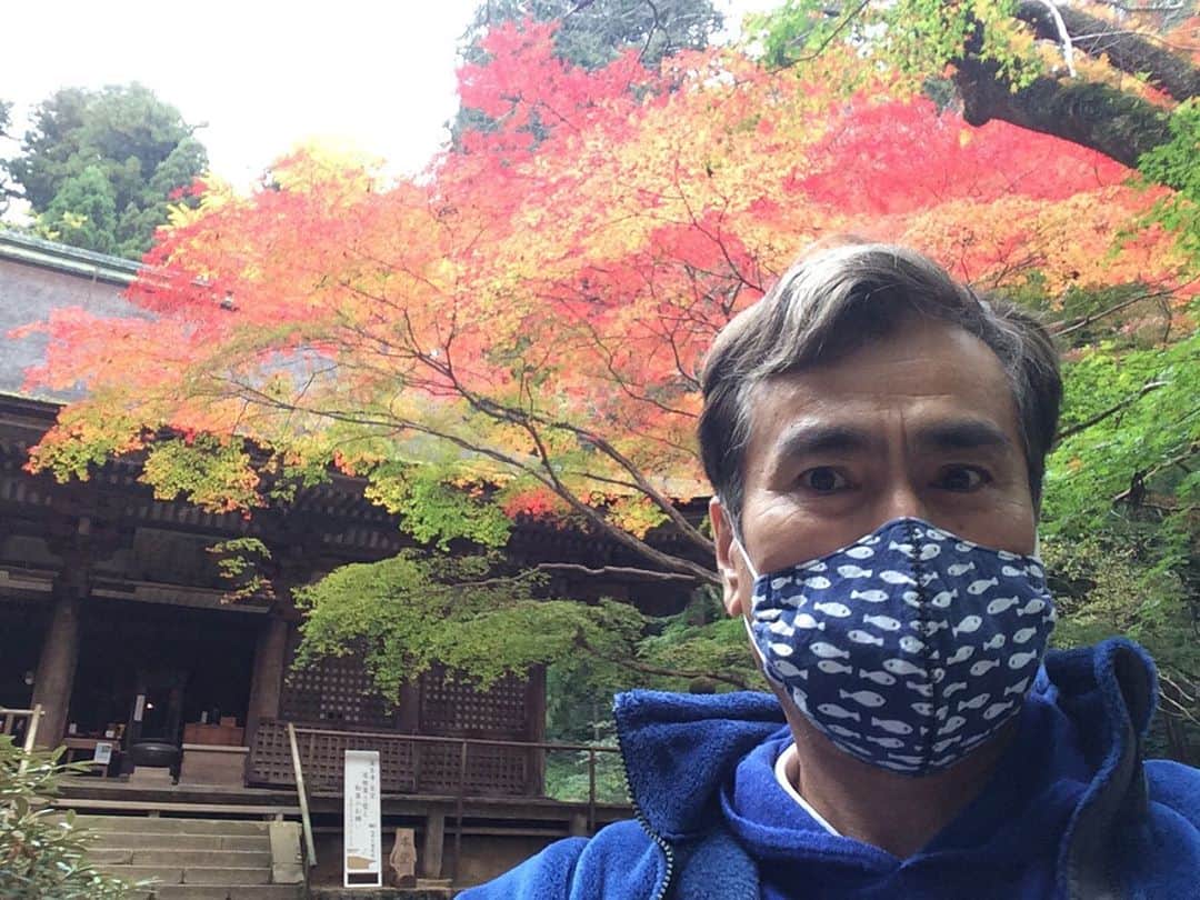 石原良純のインスタグラム：「今年の紅葉は綺麗。奈良県の室生寺寺へ。約700年前に建立された本堂。五重の塔は約1200年前のもの。奈良は奥が深い。」