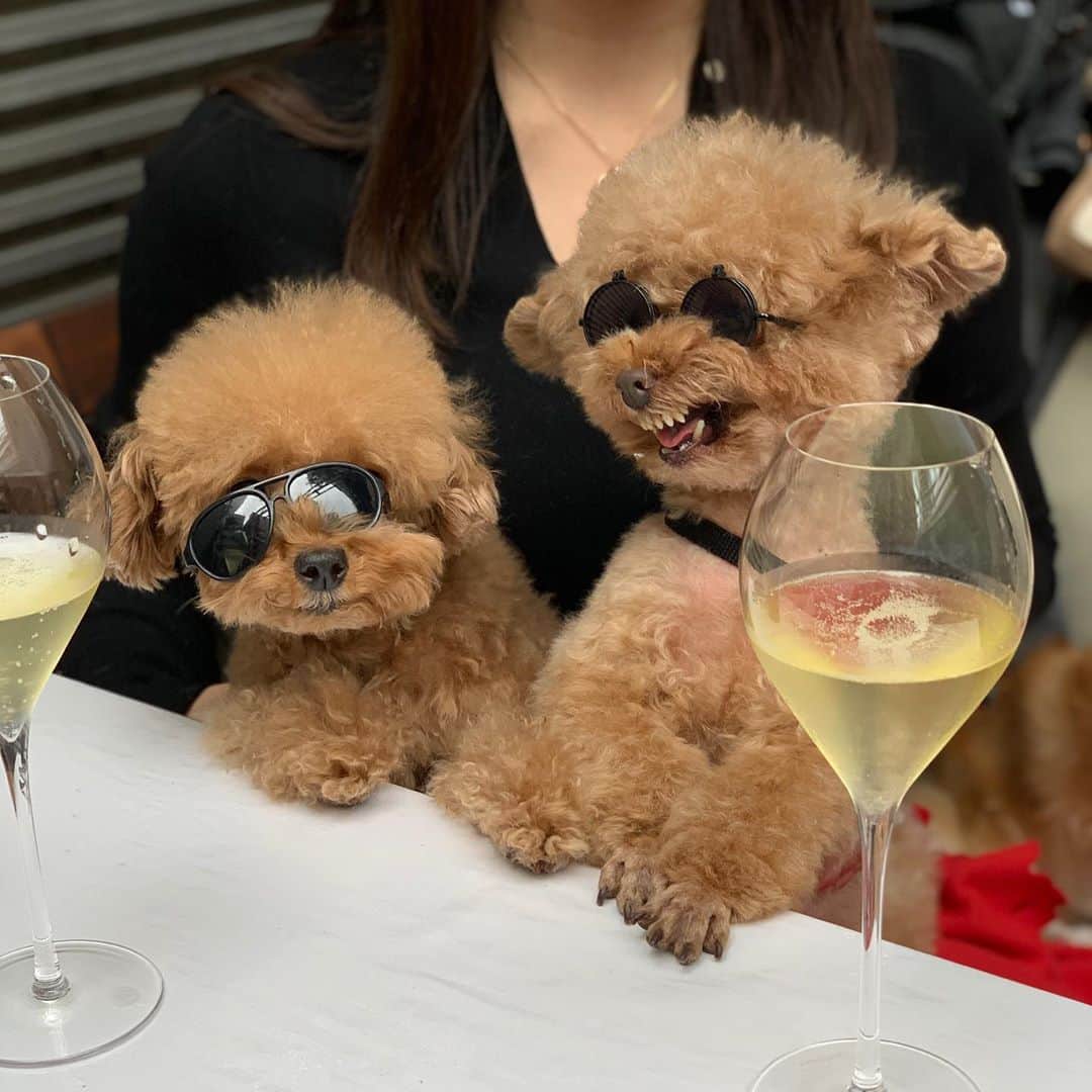 玉ねぎ戦士のグルメインスタ