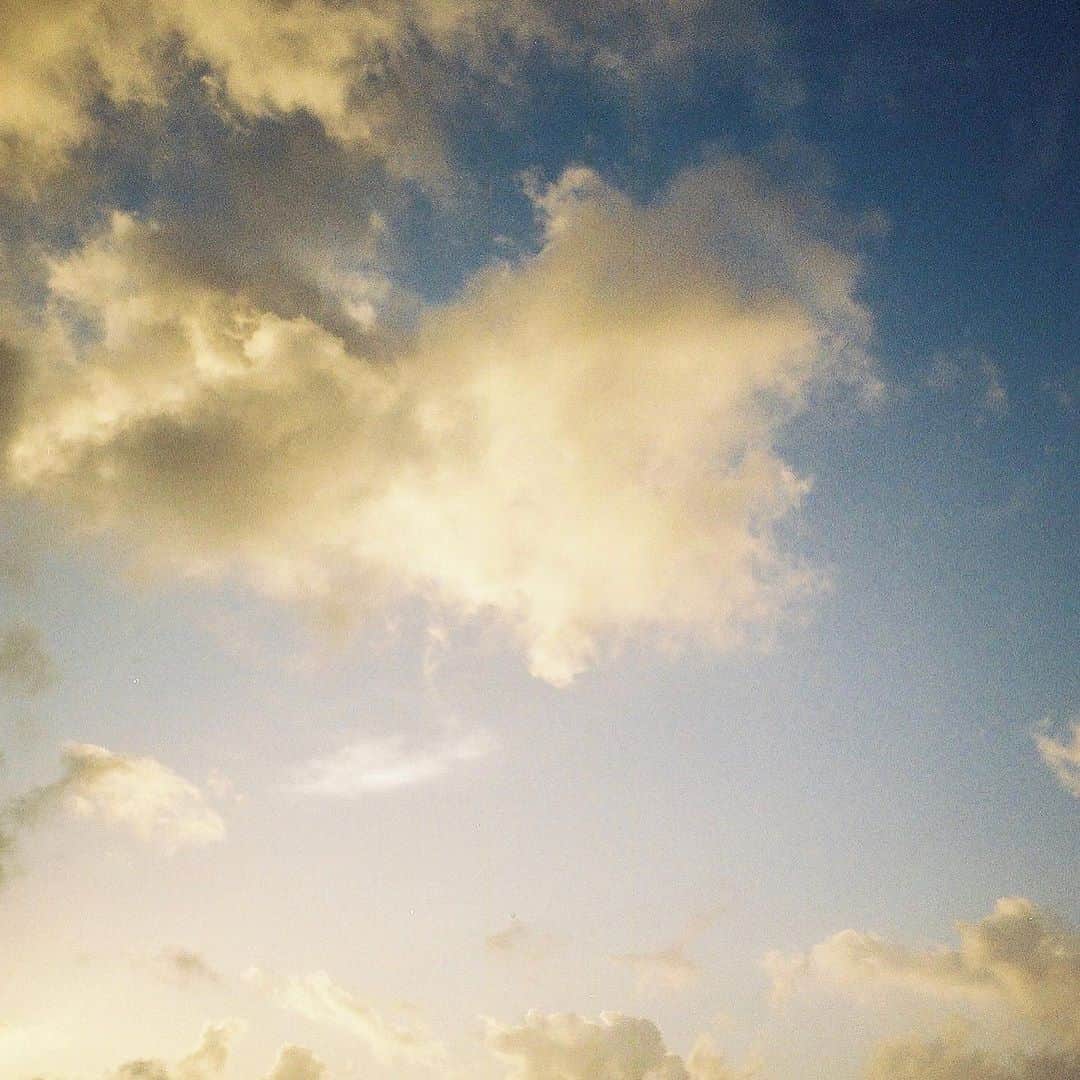 杉咲花さんのインスタグラム写真 - (杉咲花Instagram)「きれいな空。 明日も頑張ろうーー！」11月10日 17時51分 - hanasugisaki