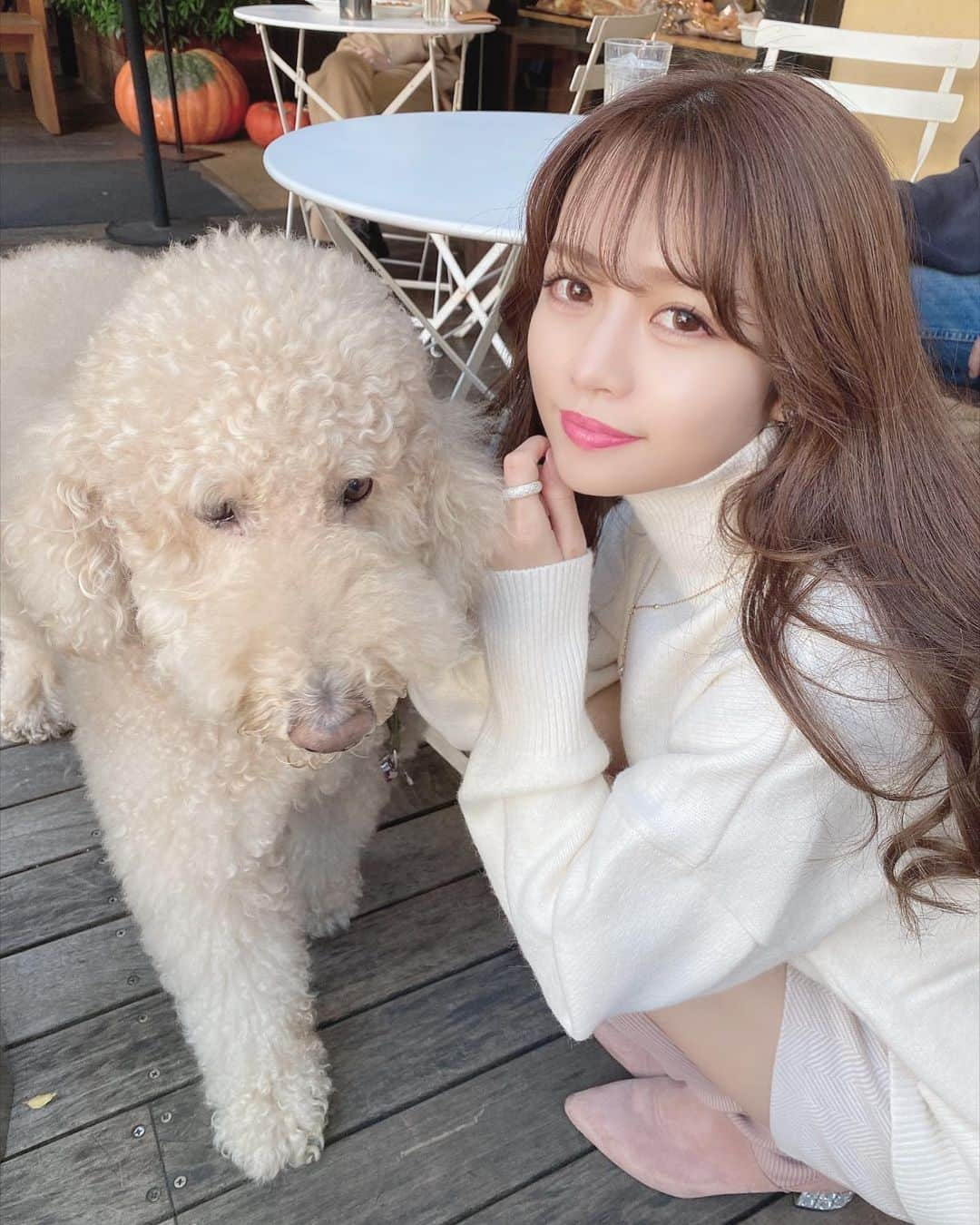 Isakoさんのインスタグラム写真 - (IsakoInstagram)「もこもこ〜🐩🐩💕💕 　 マネージャーと表参道のカフェでミーティングしていたら可愛すぎる子が🥺🥺！！ 　 ふわふわもこもこで見ているだけで癒されました、、🥺💖 　 　 飼い主さんとっても優しくて、触るのもお写真も撮らせてくれて💖もっと撮らなくて良いですか？とも言って下さって笑 ワンコだったらこんな飼い主さんに飼われたいと思いました🙋‍♀️笑　(しかもイケメンだった、、🥺)      癒しの共有でした🐩💕💕笑 　 　 　 #プードル#プードル部#ふわもこ#ふわもこ部#ふわふわ#もふもふ部#もふもふ犬 #アフロ犬#ふわもこ部ワンコ#ワンコとお出かけ#スタンドプードル#表参道カフェ#表参道ランチ#crisscross#クリスクロス」11月10日 18時06分 - ichaaako