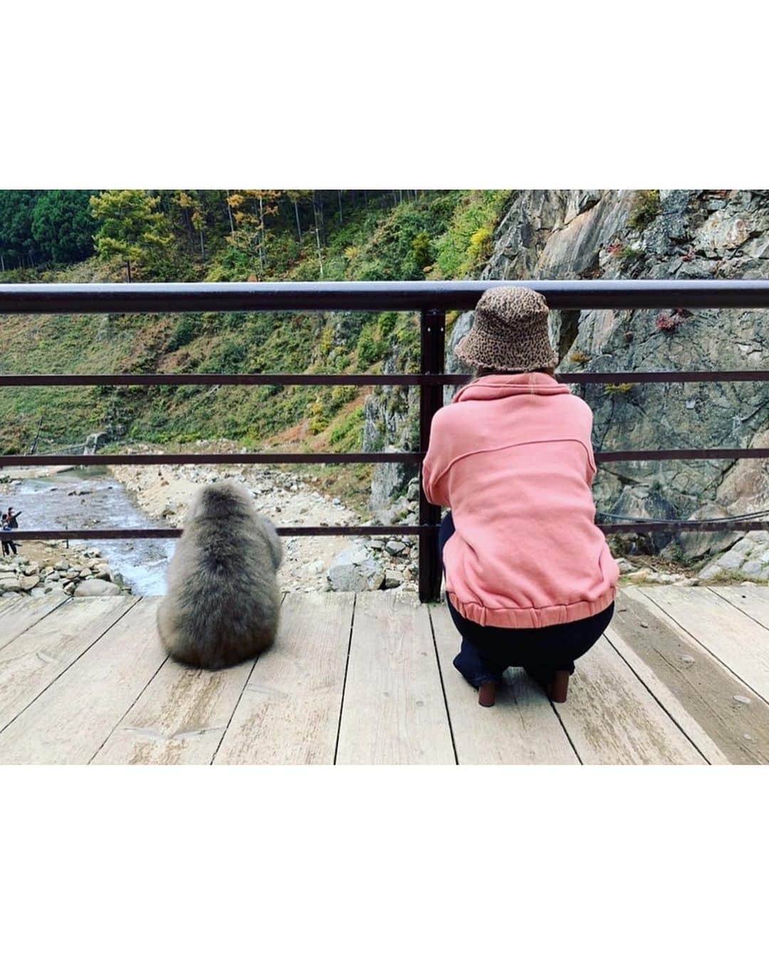 のインスタグラム：「ともだちと黄昏🐒in地獄谷 . #長野#地獄谷野猿公苑#地獄谷 #旅行#猿#japan#japan_photo #🐒」