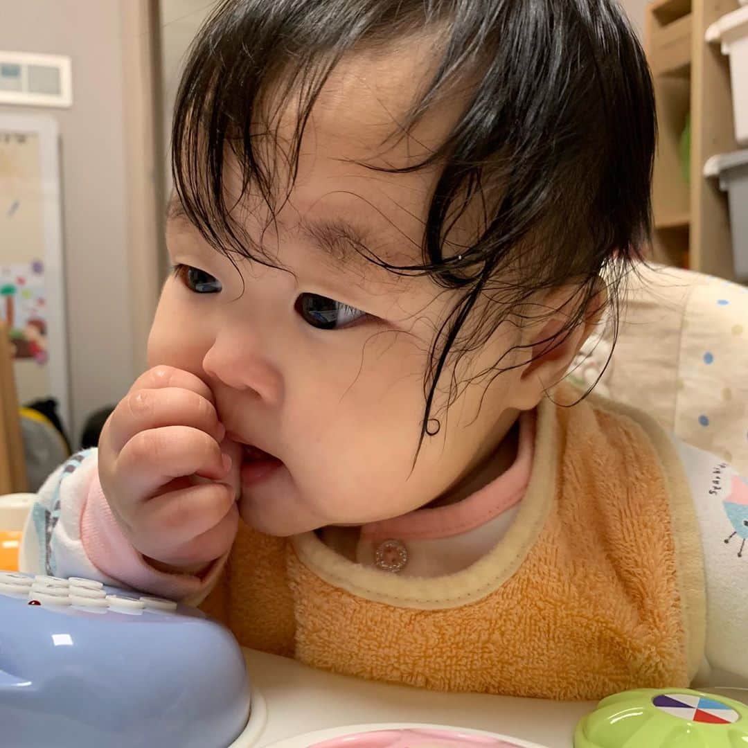 イ・ユンジのインスタグラム：「오늘은 접종을 하고 왔습니다.목욕은 말라하셔서 건너뛰었는데 머리가 왜 흠뻑 젖어있나싶어보니 양손에 침이 흥건합니다. 이렇게 비맞았던씬을 언제찍었더라 하고 엉뚱한기억을 더듬어봅니다. 오늘도 티안나는 집비움을 진행했습니다. 하루종일움직이고 정말로 티가안나는 저녁입니다.」