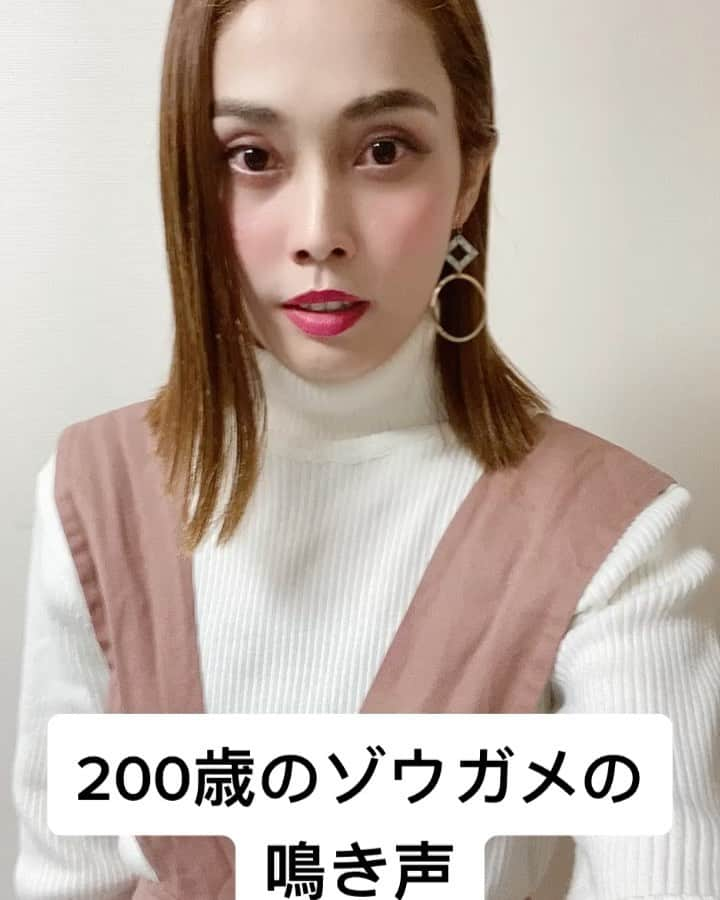 らりるRIEのインスタグラム：「・ ・ 動物ものまねシリーズ✌️ ・ ・ ・ #200歳のゾウガメの鳴き声 #200歳のゾウガメ #ゾウガメ #亀 #コツメカワウソが甘えている時の鳴き声 #コツメカワウソ #カワウソ #可愛い #かまってちゃん #甘えん坊 #鳴き声モノマネ #動物ものまね」