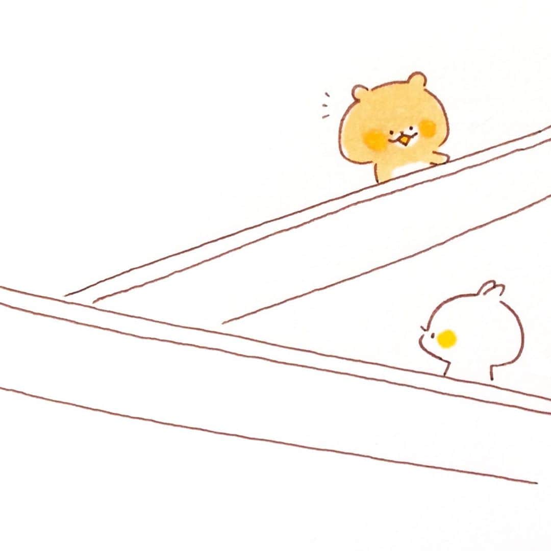 カモのインスタグラム
