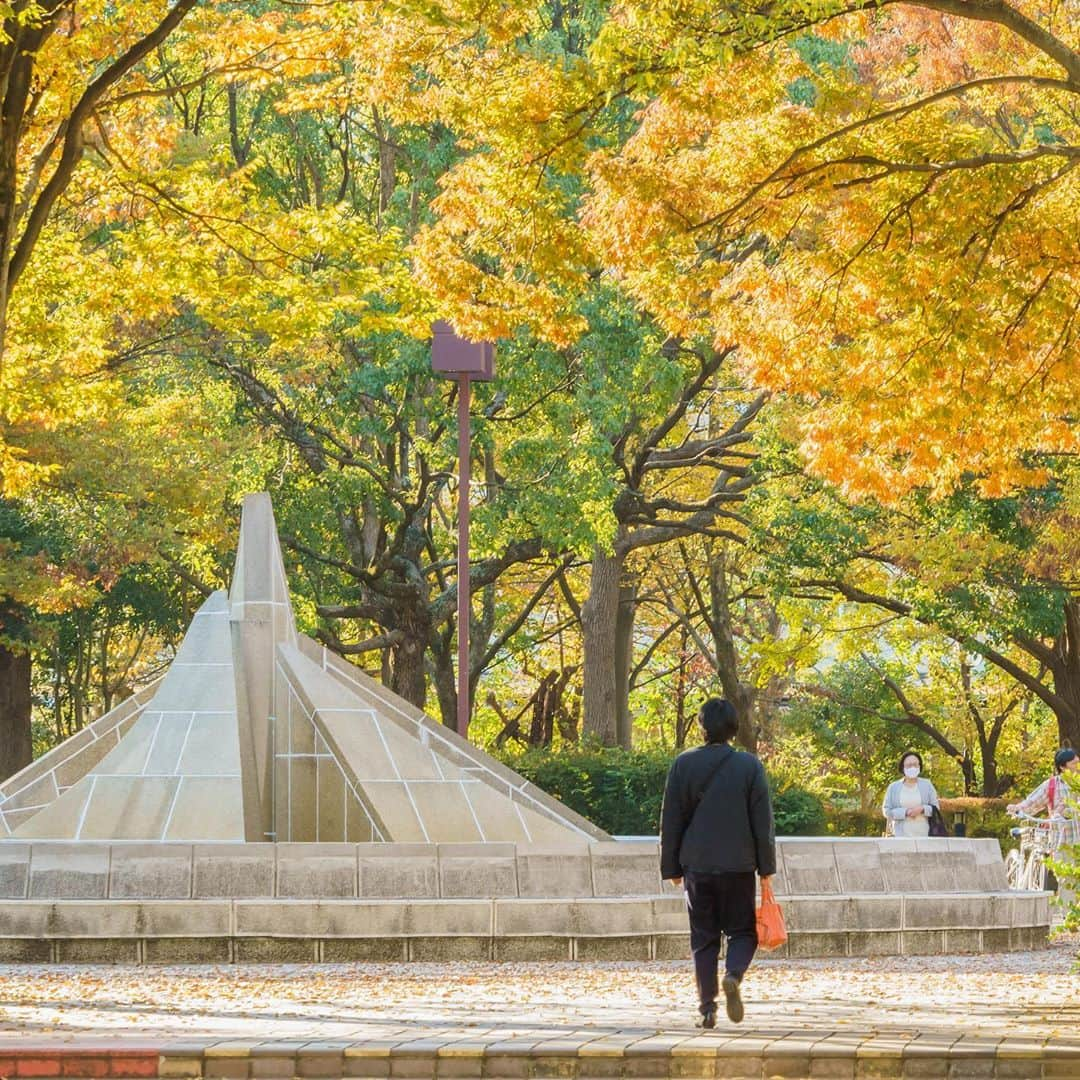 平塚市さんのインスタグラム写真 - (平塚市Instagram)「* 通勤途中の風景。 朝日が作りだす木洩れ日に 一層深まる秋を感じて。 *** #手をつなぎたくなる街 #hiratsukagood #hiratsuka#平塚 #kanagawaphotoclub #イチョウ #いちょう #銀杏#秋#黄葉 #いちょうの木 #欅#ケヤキ #紅葉 #autumnleaves #おさんぽ #お写んぽ #週末の過ごし方 #日々#暮らし #instagramjapan#igersjp」11月10日 10時22分 - hiratsukagood