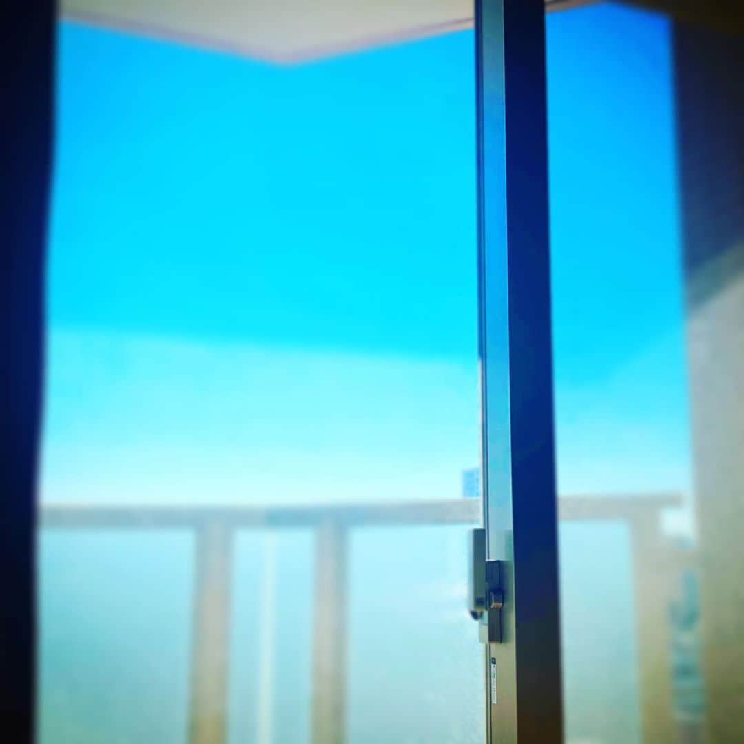 ただすけのインスタグラム：「折角早起きしたのに、ポカポカ天気でもう眠い🥱 （画像はイメージです）」
