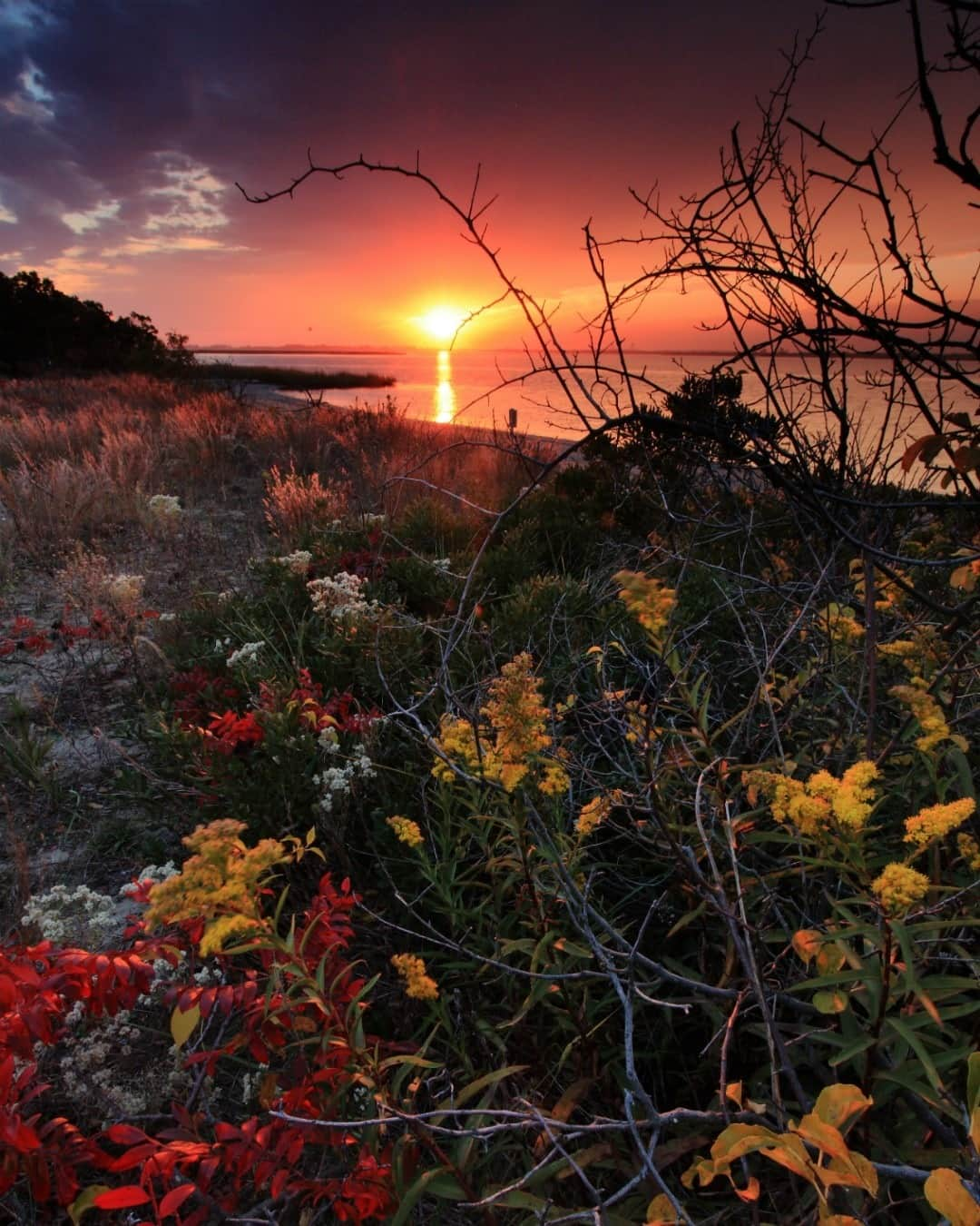 アメリカ内務省さんのインスタグラム写真 - (アメリカ内務省Instagram)「A spectacular natural oasis within the limits of New York City, Jamaica Bay Wildlife Refuge offers great opportunities for recreation, bird watching and enjoying gorgeous sunrises over the water. Part of Gateway National Recreation Area, it’s the only wildlife refuge in the national park system. Photo by Micael Fano (www.sharetheexperience.org). #usinterior #FindYourPark」11月10日 10時38分 - usinterior