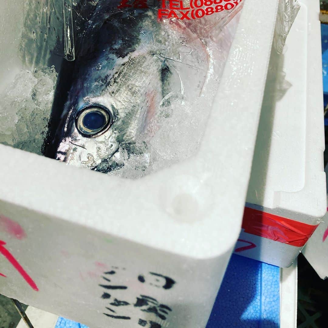 魚金さんのインスタグラム写真 - (魚金Instagram)「11月10日 東京はいい天気ですがやはり魚が少ない〜 何とか鮮魚かき集めました！ 長崎の鯵もコロッとしててサイズ的にも僕の好みです！活けのタコもビンビンしてていい感じ 高知のカツオも見た目サイズ感よく箱に日戻りケンケンと書いてあります朝漁に出てその日のうちに戻って来る。皆さんが想像するカツオの1本釣りでバンバン釣り上げる漁とは違い和歌山辺りの漁法で釣り上げた後も丁寧に〆て出荷される鮮度抜群のカツオです！ その他今朝〆たての鯛やまだ小ぶりですが兵庫の牡蠣、脂の乗ったブリなどを盛り合わせた魚金の名物刺し盛りを楽しんで下さい！  仕入部　片之坂 #まぐろ#新橋#玉子#居酒屋#銀座#京橋#マグロ#海鮮丼#刺身#吉祥寺#オイスター#秋#ビール#ひやおろし#刺身盛り合わせ#カツオ#渋谷#魚好きと繋がりたい #レモンサワー#台風#神楽坂#横浜グルメ#飲酒タグラム#たまご#日本酒好きな人と繋がりたい #クラフトビール#お寿司#おでん#yummy」11月10日 10時30分 - uokin_koho