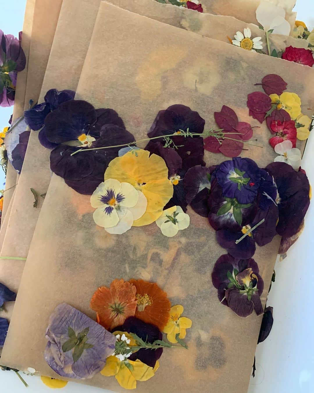 チャンルーのインスタグラム：「Baking something beautiful this holiday season with our favorite flower pressed queen @loriastern 🍰🌼🌸🌻 Stay tuned!」