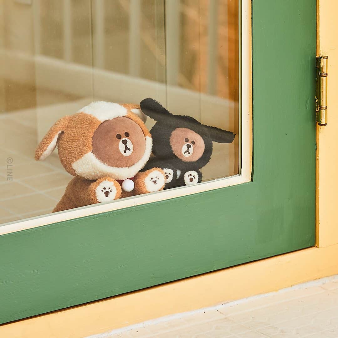 LINE FRIENDSさんのインスタグラム写真 - (LINE FRIENDSInstagram)「Say hello to these pawfect puppies. 🐶  PUPPY BROWN Doll & Pouch.   🐶 Enjoy cuddles with doggo BROWN 🐶 Made of extra-soft fleece 👛 Packs room to carry small items inside 👛 Perfect item for when you're walking your dog   Snuggle up with these furry friends for the chill months ahead. 🐾  ⠀ Coming Soon 👉Link in Bio ⠀  #LINEFRIENDS #PUPPYBROWN #doll #pouch」11月10日 11時01分 - linefriends