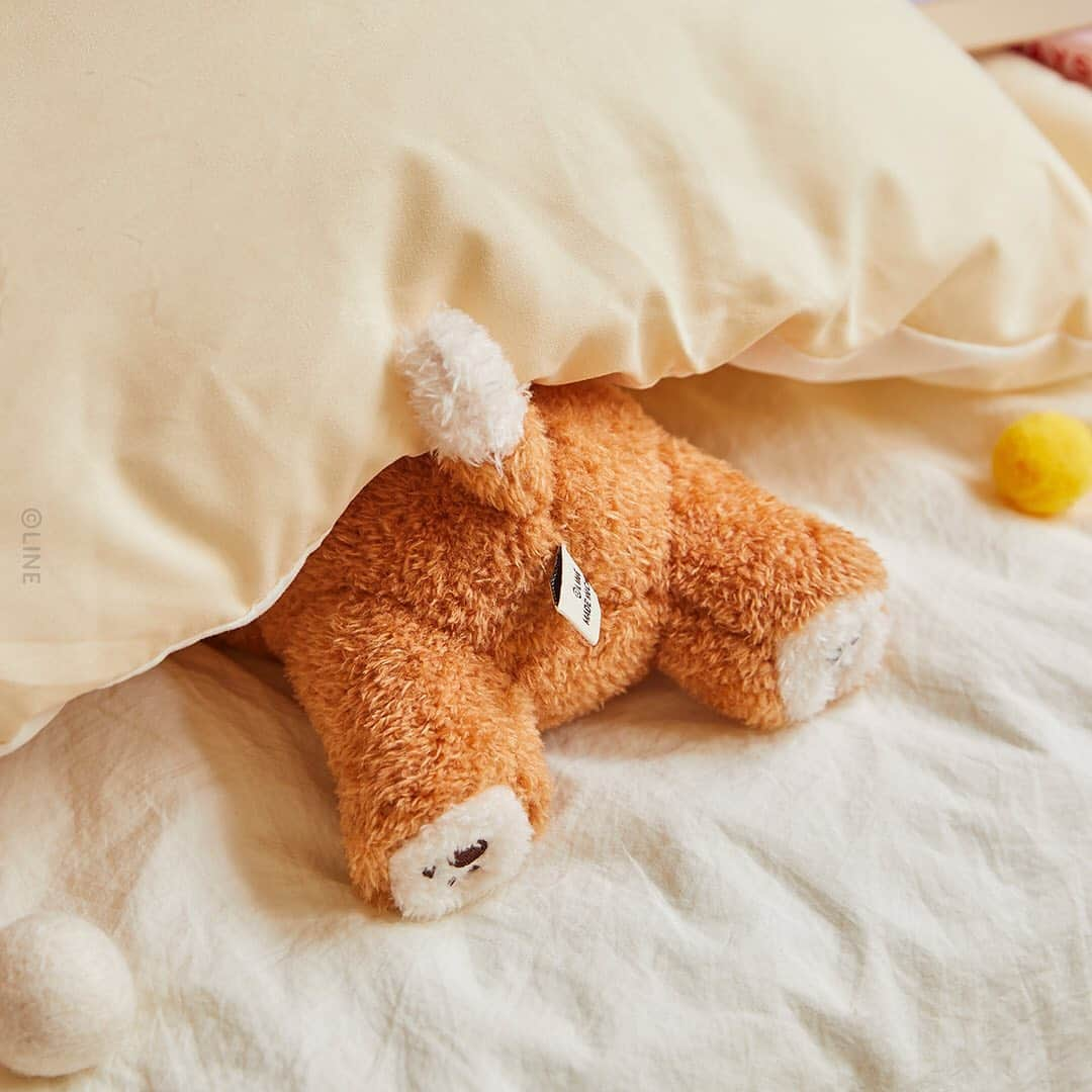 LINE FRIENDSさんのインスタグラム写真 - (LINE FRIENDSInstagram)「Say hello to these pawfect puppies. 🐶  PUPPY BROWN Doll & Pouch.   🐶 Enjoy cuddles with doggo BROWN 🐶 Made of extra-soft fleece 👛 Packs room to carry small items inside 👛 Perfect item for when you're walking your dog   Snuggle up with these furry friends for the chill months ahead. 🐾  ⠀ Coming Soon 👉Link in Bio ⠀  #LINEFRIENDS #PUPPYBROWN #doll #pouch」11月10日 11時01分 - linefriends