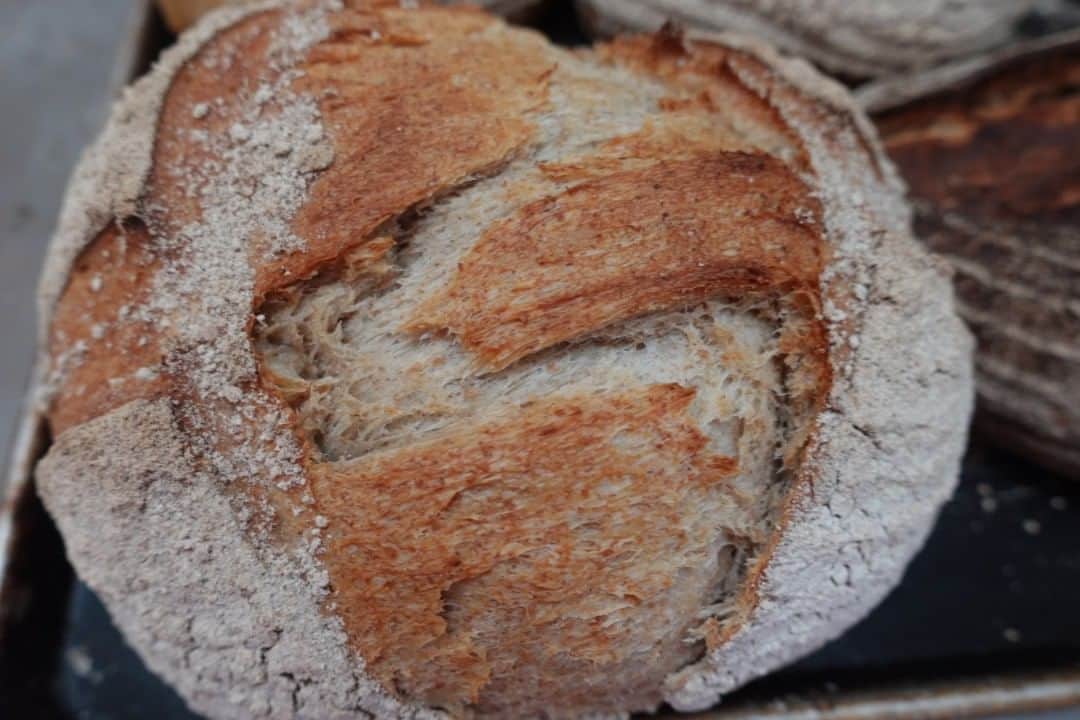 魔女菅原のグルメインスタ