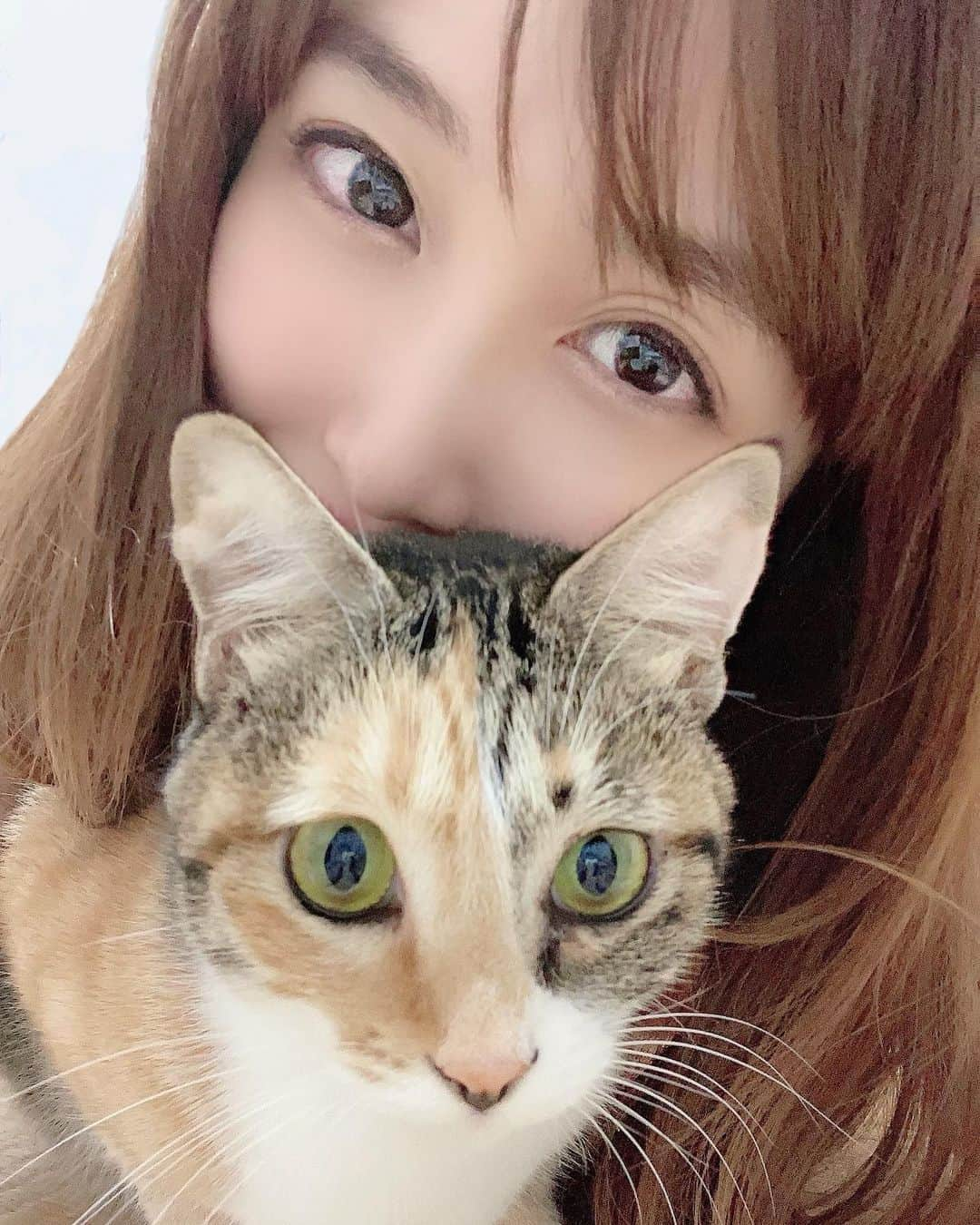 長久梨那さんのインスタグラム写真 - (長久梨那Instagram)「． にゃんと🐱❣️ 本日お稽古最終日💦💦 ピー助もびっくり😳❣️ 昨日のお稽古では最後まで勝ち残れたの😏✨ このまま本番まで全集中の呼吸で頑張ります✨✨ https://www.quartet-online.net/ticket/24th_ichoose?m=0qfecbi ご予約URLへのアクセスはTwitterからが便利です🎶 @mimurinnyan #アイチュー #スパチャリ #猫 #三毛猫 #保護猫 #ネッコ #猫のいる暮らし #ねこすたぐらむ #にゃんすたぐらむ #舞台 #女優 #舞台女優 #アナウンサー #リポーター #ボートレース #ギャンブル #スロット #ジャグラー #自撮り #自撮り女子 #自撮り界隈 #セルフィー #セルカ #推してください #フォローミー #japan #girl #actress #selfie #followme」11月10日 12時08分 - rinanagahisa