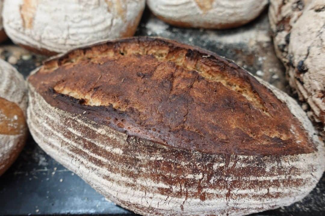 魔女菅原のグルメインスタ