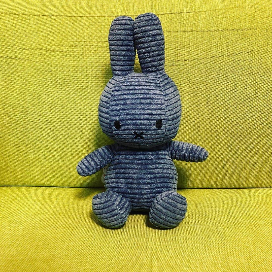 ヒラさんのインスタグラム写真 - (ヒラInstagram)「Miffy Corduroy 23cm」11月10日 13時15分 - hira_saiore