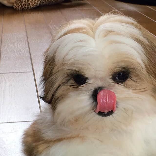 りんくのインスタグラム