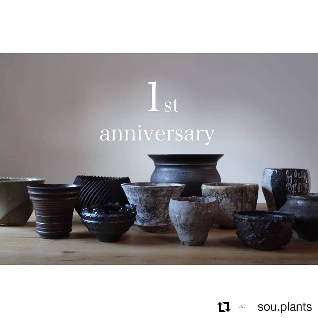 伊藤 慎のインスタグラム：「@sou.plantsさんにて一周年の企画展に出品しました。各作家5点、特別な作品を出品してます。 . 僕は薪を焚べて灰がかかる穴窯と灯油窯で合計5回200時間以上かけてやいた品を出します。 . 販売の抽選が本日10日23:59までの申し込みです。 . 下記詳細のリポストです。 . #Repost @sou.plants • • • • • • ． 1周年記念の作品への沢山のご応募ありがとうございます😌🙏  応募期間は本日の23:59までとなっておりますのでご注意下さい。  もし、まだDMの返信が来てない場合はお手数お掛けしますが再度ご連絡下さい。 --------------------------- 1周年記念作品の販売方法についてお知らせ致します。  postで紹介しております各作家さんの作品を今回は抽選販売させて頂きます。  応募方法について以下5点をご確認下さいませ。 ①応募の期間は11/8 10:00〜11/10 23:59とさせて頂きます。 ②お1人様最大3点までご応募可能です。 (但し同じ作品への応募は1回のみとなります) ③応募は@sou.plantsのDMへ希望の作品番号をご連絡下さい。 ④作品番号は当アカウントの作品の紹介post及びsou.plantsのweb shopにて各作品の詳細をご覧頂けますのでご確認下さい。 ⑤ご応募の確認が取れましたらこちらから折り返しのご連絡をさせて頂きます。 応募者多数の場合はお時間を頂く場合がありますのでご了承下さい。  ※複数のアカウントや、偽名等による不正があった場合には無効とさせて頂きます。  不慣れでご不便をお掛けしてしまうかもしれませんが、ご理解の程宜しくお願い致します。 ． ． #1周年#sou鉢#陶芸作家#植木鉢#pot#pottery#ceramics#glaze#塊根植物#塊根植物のある暮らし#植替え#おうち時間#caudex#plants#botanical #兵庫  #伊藤慎 #陶瓷 #陶芸 #陶芸家 #pottery #potter #ceramic #ceramicart #神戸 #明石 #土物」