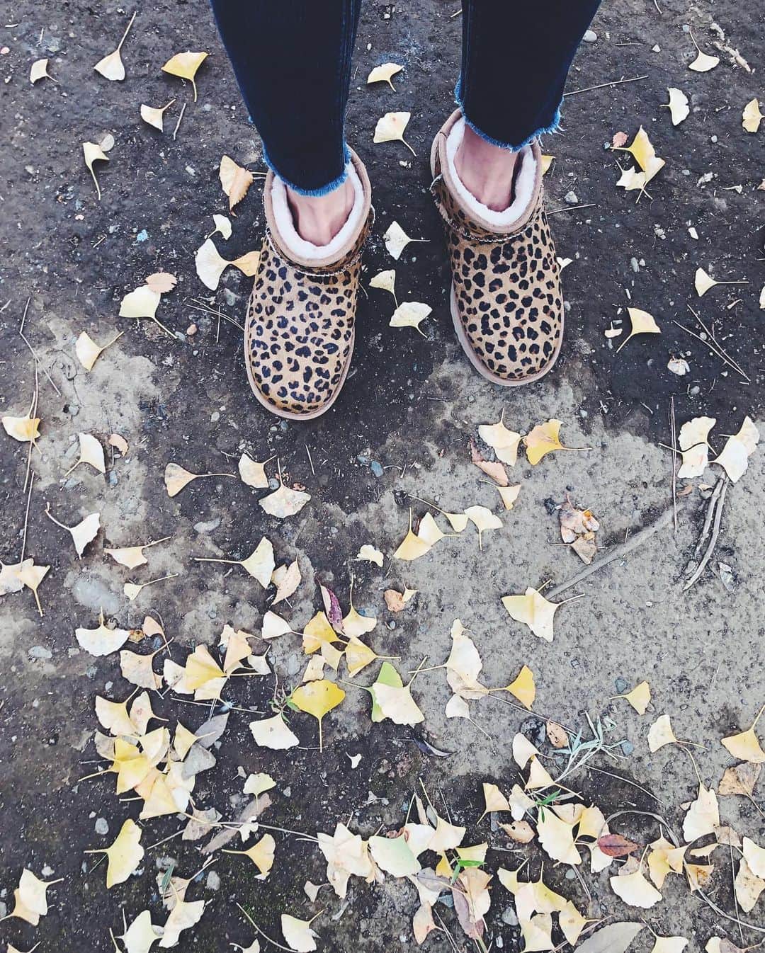 尾形沙耶香さんのインスタグラム写真 - (尾形沙耶香Instagram)「#autumnleaves」11月10日 13時19分 - sayakaogata