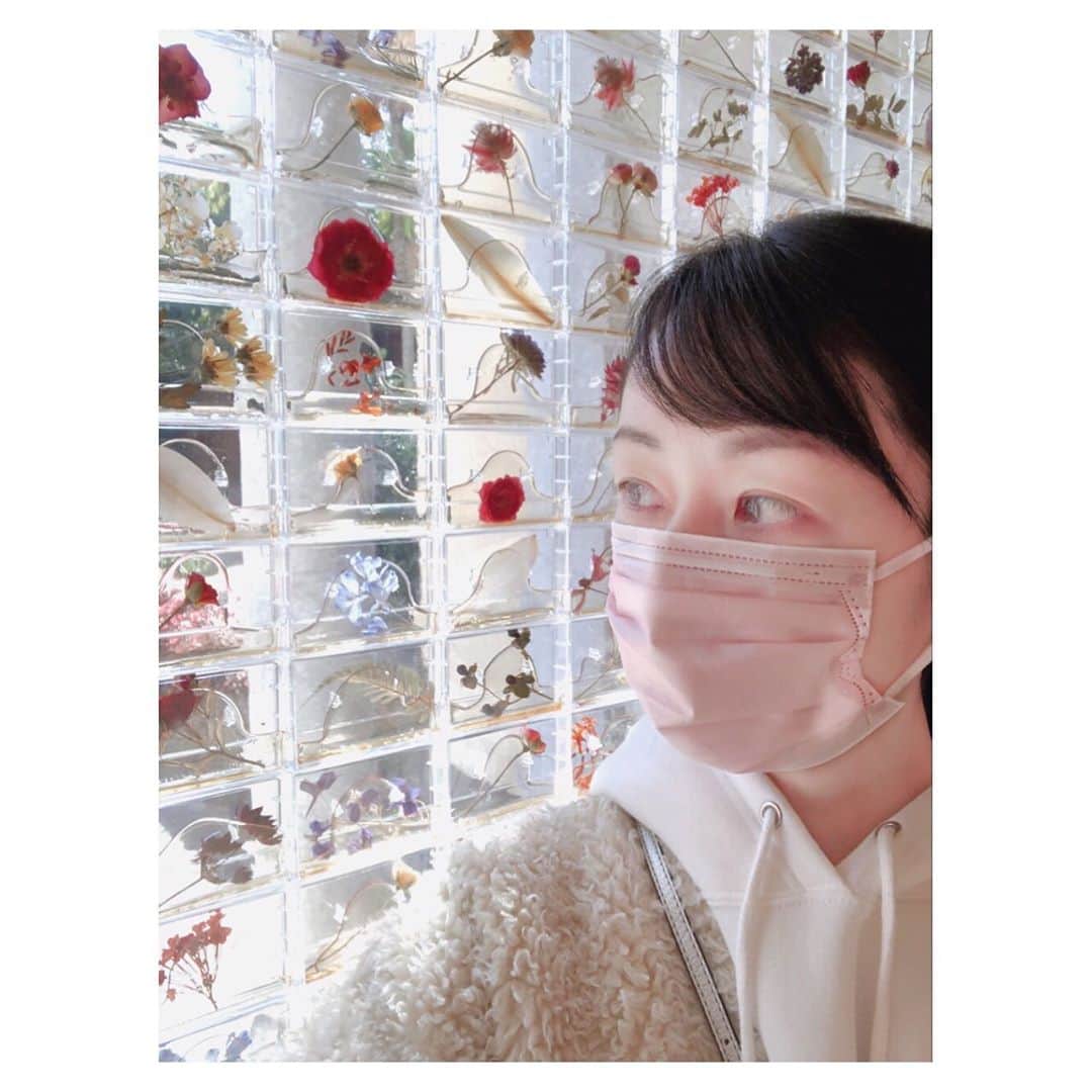 のインスタグラム：「癒しを求めて美術館へ🌹  #東京都庭園美術館 #美術館 #museum #museo #미술관 #アート #art #arte #아트 #tokyo #japan #理絵アート #rie_love_art」