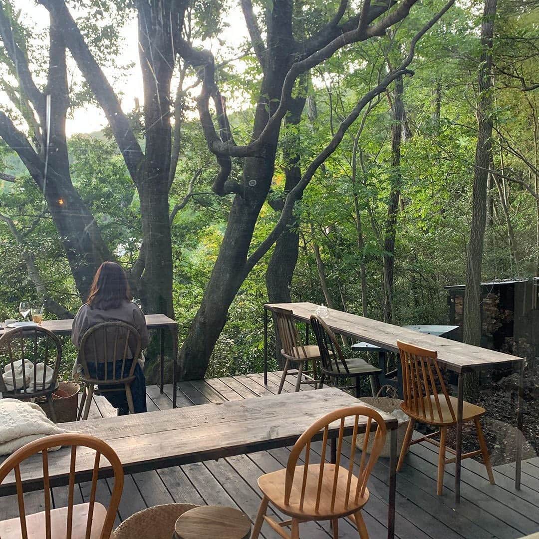 isutaさんのインスタグラム写真 - (isutaInstagram)「森の中でいただく絶品コース料理♡﻿ ﻿ ﻿ 奈良県・生駒山の森の中にある「MAHO-ROBA forest（マホロバ フォレスト）」は、緑溢れる空間の中でランチがいただけるカフェ。﻿ ﻿ ﻿ 空気がおいしく木漏れ日が気持ち良い中で食べるコース料理は、いつもとはひと味違う体験になりそう♡﻿ ﻿ ﻿ 一度行ったら忘れられない、遠出しがいのあるおしゃれカフェです。﻿ ﻿ ﻿ 大人気のランチコースは予約制なので、気になる方はぜひお早めにチェックしてくださいね♪﻿ ﻿ ﻿ 【MAHO-ROBA forest】﻿ 住所：奈良県生駒市小倉寺町569-5﻿ 営業時間：12:00～16:30（L.O.）﻿ 定休日：不定休﻿ ﻿ ﻿ photo by﻿ @__mami_s_59﻿ @mr3_m﻿ @chanru﻿ @bear_mogram﻿ @1020mya﻿ @h_i_____m﻿ @three___ponds﻿ ﻿ ﻿ #isuta #イスタ #isutapic﻿ #isutacafe #カフェ巡り #おしゃれカフェ﻿ #カフェスタグラム #奈良カフェ #奈良カフェ巡り﻿ #cafe #生駒カフェ #生駒カフェ巡り #mahoroba ﻿ #マホロバフォレスト #mahorobaforest #カフェ活﻿ #mahoroba_forest #奈良グルメ #奈良ランチ﻿ #cafestagram #カフェ #カフェ好き﻿ #お洒落な人と繋がりたい #喫茶店﻿ #カフェ好きな人と繋がりたい」11月10日 13時37分 - isuta_jp