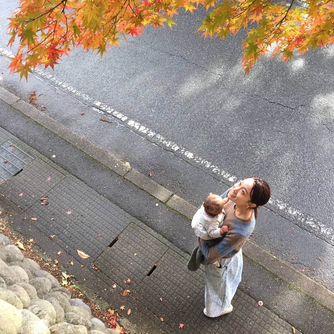 青柳愛さんのインスタグラム写真 - (青柳愛Instagram)「写真家の友人と白山へ。 カメラ撮り合いっこ。  絞り5.6(通称ゴロク)について熱く語る彼女がかわいくてたまりませんでした。 秋の白山は次第に色づきはじめています🍁  #丸岡 #和田写真館」11月10日 13時45分 - aoyagiakayagi
