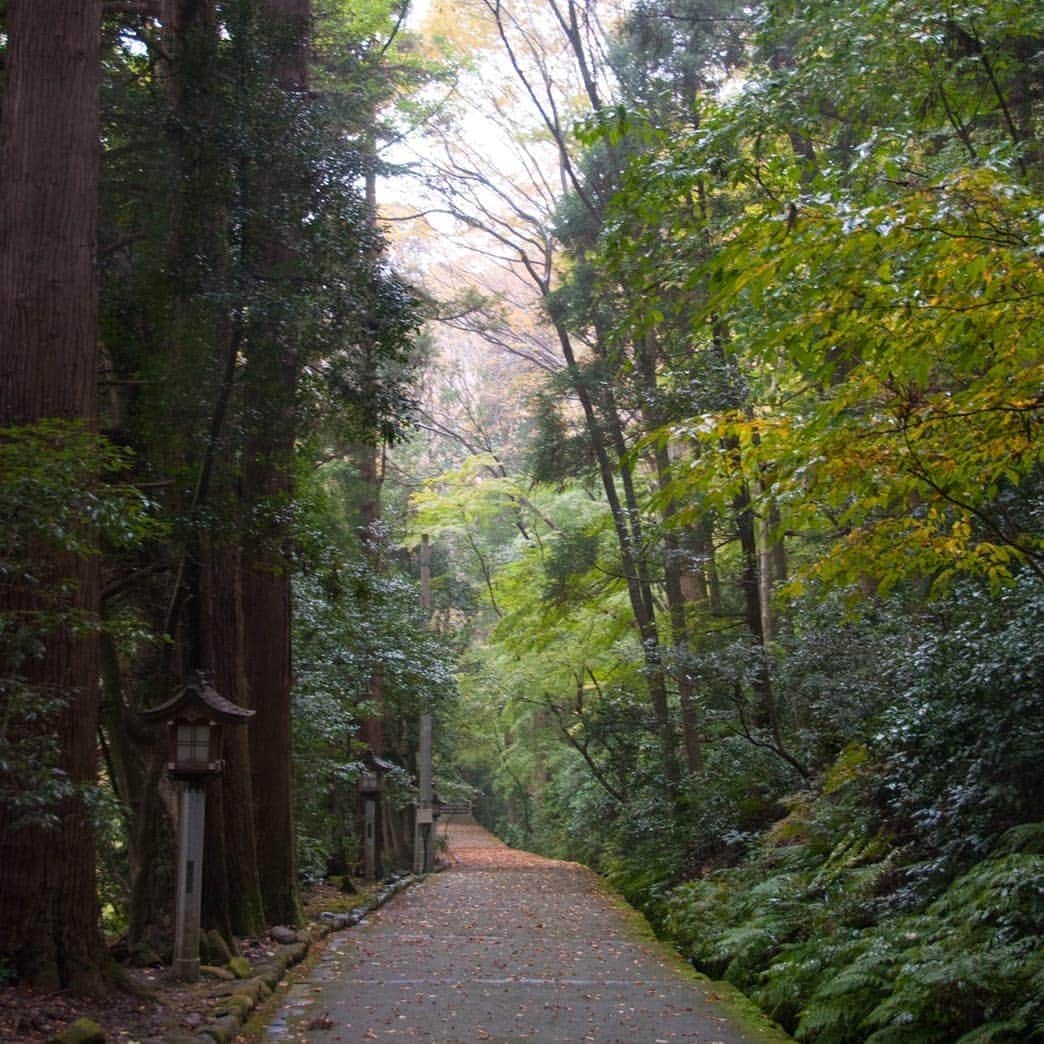 青柳愛さんのインスタグラム写真 - (青柳愛Instagram)「写真家の友人と白山へ。 カメラ撮り合いっこ。  絞り5.6(通称ゴロク)について熱く語る彼女がかわいくてたまりませんでした。 秋の白山は次第に色づきはじめています🍁  #丸岡 #和田写真館」11月10日 13時45分 - aoyagiakayagi