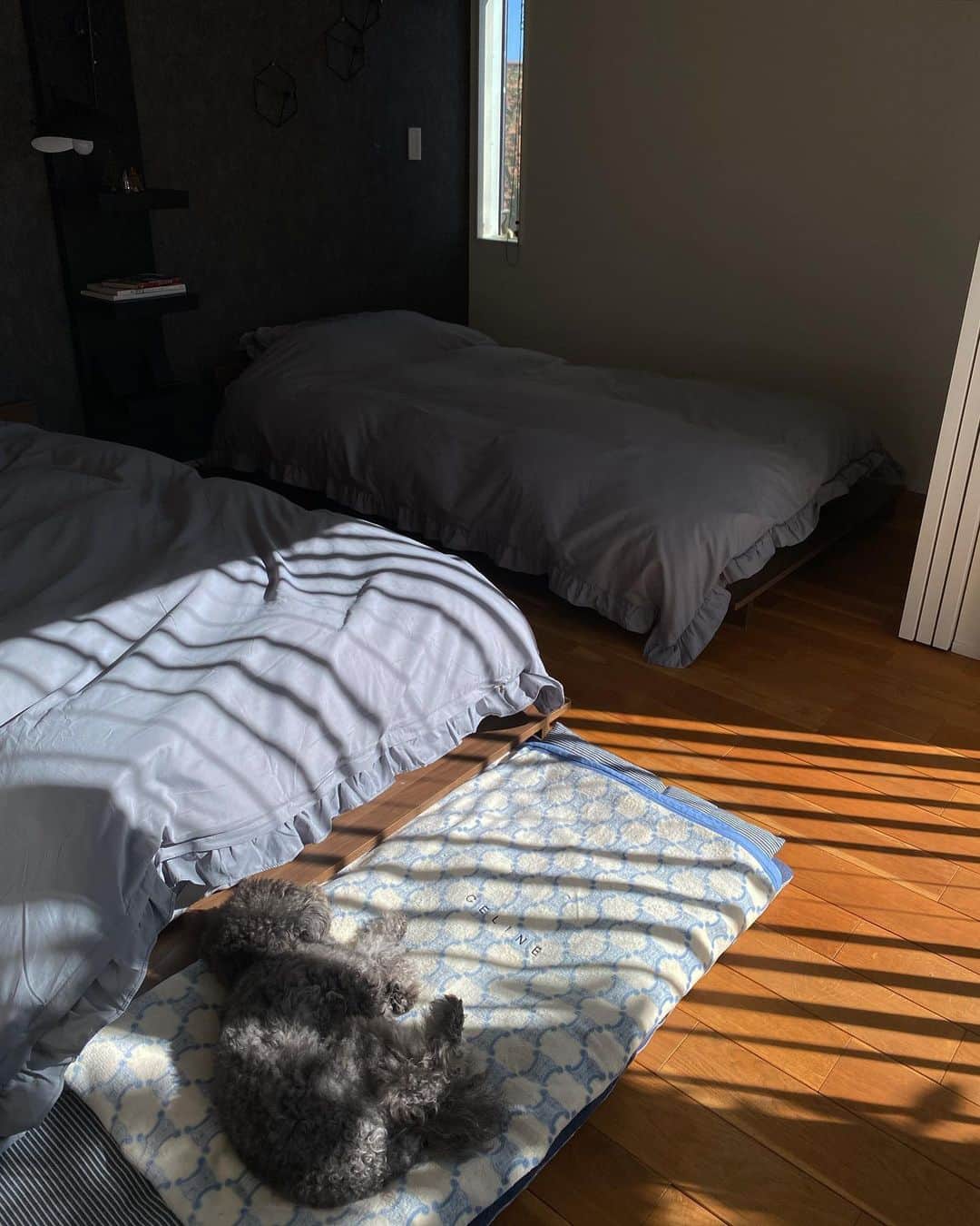 minminさんのインスタグラム写真 - (minminInstagram)「𐄢 先日チラッと写真を載せましたが 寝室の模様替えをしました✨  今まではシングルマットを ２つくっつけてワイドキングとして使ってましたが 子供も成長し一緒に寝なくなり…😭 ベッドを離してみました。  次にデザインは変わってしまいますが 思い切ってベッドレスの部分を外してみました。 13cm分スペースが広がり歩きやすくなりました✨  犬がこの場所で寝ているので 閉めることは殆どありませんが 引戸も閉めれるようになり良かったです😊  ベッドとベッドの間には　 IKEAのシェルフを。  その棚板を付けずに少し加工して ライトを付けてみました。  下から二段目は置くだけで携帯と アップルウォッチが充電できるスタンドです。 これがなかなか便利で本当に買って良かったです✨  千葉は地震が多いので 地震対策として耐震ゴムと 裏で持ち手テープの紐を壁と固定しています。  固定金具は棚受けも固定出来る 金具一つ耐荷重9キロのものです。  充電機も金具も布団カバーも 楽天ルームでも紹介しています。 気になる方ははそちらを見てみて下さいね✨  @amiagram   #bedroom#寝室#ベッド#ベッドルーム#アクセントクロス#グレーインテリア#布団カバー#充電器#IKEA#シェルフ#ウォールシェルフ#LACK#スタンドライト#暮らし#シンプルな暮らし#模様替え#引戸#インテリア雑貨#DIY#楽天roomに載せてます#roomインフルエンサー」11月10日 13時45分 - amiagram