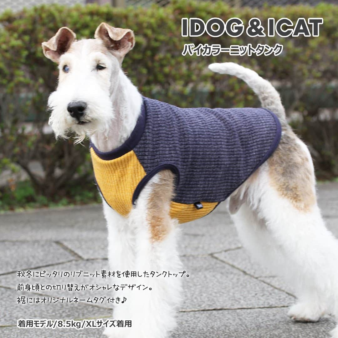 iDog&iCatさんのインスタグラム写真 - (iDog&iCatInstagram)「【1枚1080円～大人気プチプラウェア発売開始！】 . IDOG&ICATでは11/10より、販売開始しております♪ 楽天店舗URL：https://item.rakuten.co.jp/idog/c/0000000129/ . 今スグ着られるお手軽ウェアが4型UP♪ 在庫限りで販売終了になるので、お気に入りが見つかりましたら、お早目にどうぞ★ . IDOG&ICAT公式LINEをお友達登録でお得な情報をゲットしよう！LINE ID『 @idogicat 』で検索♪ . #iDog #iDogiCat #iCat #ペット服 #ドッグウェア #新作 #プチプラ #犬服 #犬の服 #犬の服iDog #犬 #超小型犬 #小型犬 #中型犬 #うちの子優勝 #キャットウェア #猫服 #猫の服 #猫の服iCat #猫 #わんすたぐらむ #dog #にゃんすたぐらむ #cat #チワワ #トイプードル #ミニチュアダックスフンド #MIX犬」11月10日 14時06分 - idogicat