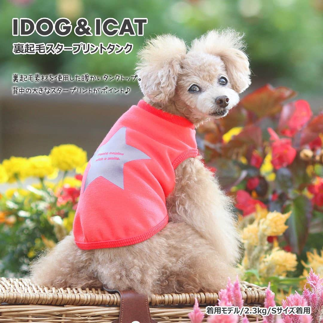 iDog&iCatさんのインスタグラム写真 - (iDog&iCatInstagram)「【1枚1080円～大人気プチプラウェア発売開始！】 . IDOG&ICATでは11/10より、販売開始しております♪ 楽天店舗URL：https://item.rakuten.co.jp/idog/c/0000000129/ . 今スグ着られるお手軽ウェアが4型UP♪ 在庫限りで販売終了になるので、お気に入りが見つかりましたら、お早目にどうぞ★ . IDOG&ICAT公式LINEをお友達登録でお得な情報をゲットしよう！LINE ID『 @idogicat 』で検索♪ . #iDog #iDogiCat #iCat #ペット服 #ドッグウェア #新作 #プチプラ #犬服 #犬の服 #犬の服iDog #犬 #超小型犬 #小型犬 #中型犬 #うちの子優勝 #キャットウェア #猫服 #猫の服 #猫の服iCat #猫 #わんすたぐらむ #dog #にゃんすたぐらむ #cat #チワワ #トイプードル #ミニチュアダックスフンド #MIX犬」11月10日 14時06分 - idogicat