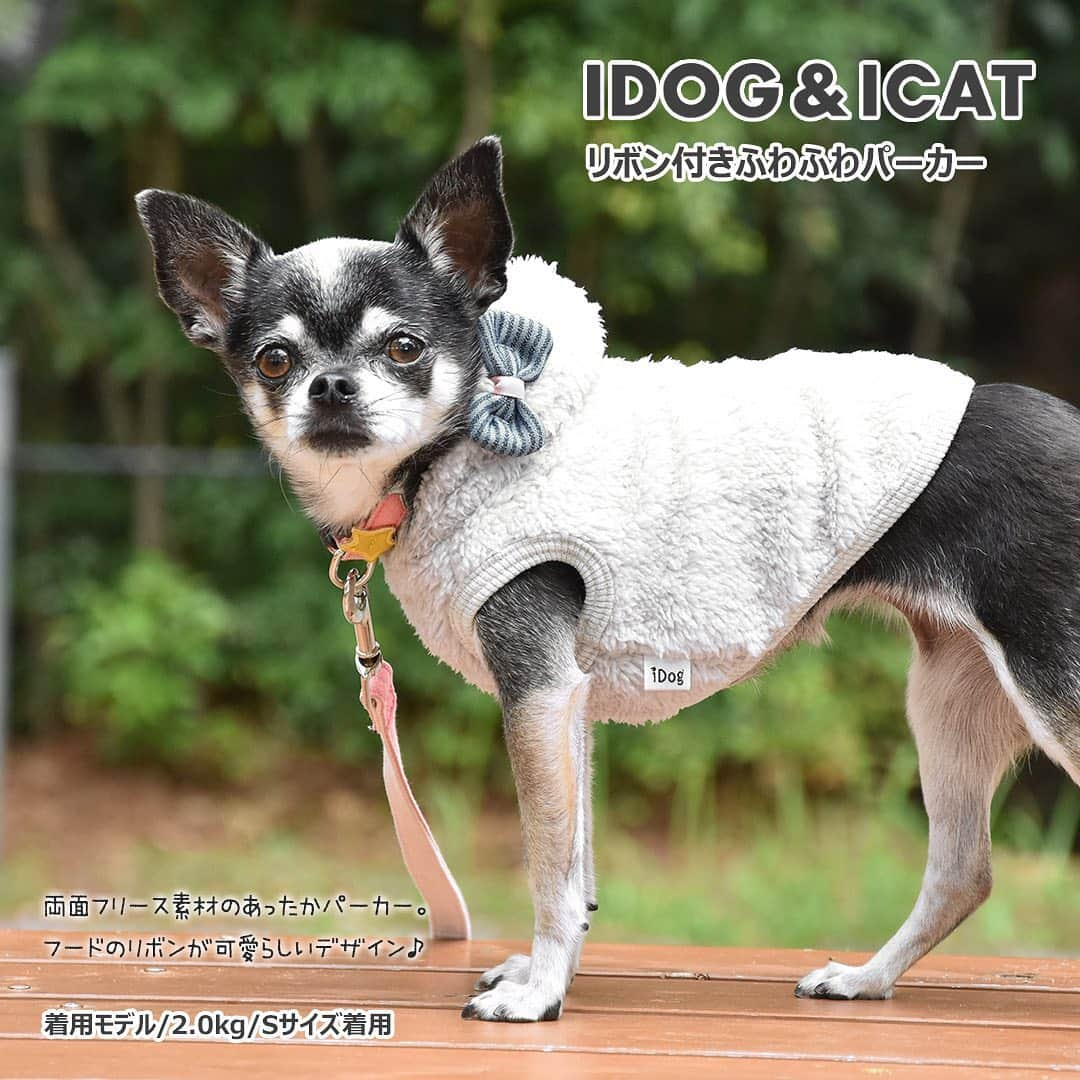 iDog&iCatさんのインスタグラム写真 - (iDog&iCatInstagram)「【1枚1080円～大人気プチプラウェア発売開始！】 . IDOG&ICATでは11/10より、販売開始しております♪ 楽天店舗URL：https://item.rakuten.co.jp/idog/c/0000000129/ . 今スグ着られるお手軽ウェアが4型UP♪ 在庫限りで販売終了になるので、お気に入りが見つかりましたら、お早目にどうぞ★ . IDOG&ICAT公式LINEをお友達登録でお得な情報をゲットしよう！LINE ID『 @idogicat 』で検索♪ . #iDog #iDogiCat #iCat #ペット服 #ドッグウェア #新作 #プチプラ #犬服 #犬の服 #犬の服iDog #犬 #超小型犬 #小型犬 #中型犬 #うちの子優勝 #キャットウェア #猫服 #猫の服 #猫の服iCat #猫 #わんすたぐらむ #dog #にゃんすたぐらむ #cat #チワワ #トイプードル #ミニチュアダックスフンド #MIX犬」11月10日 14時06分 - idogicat