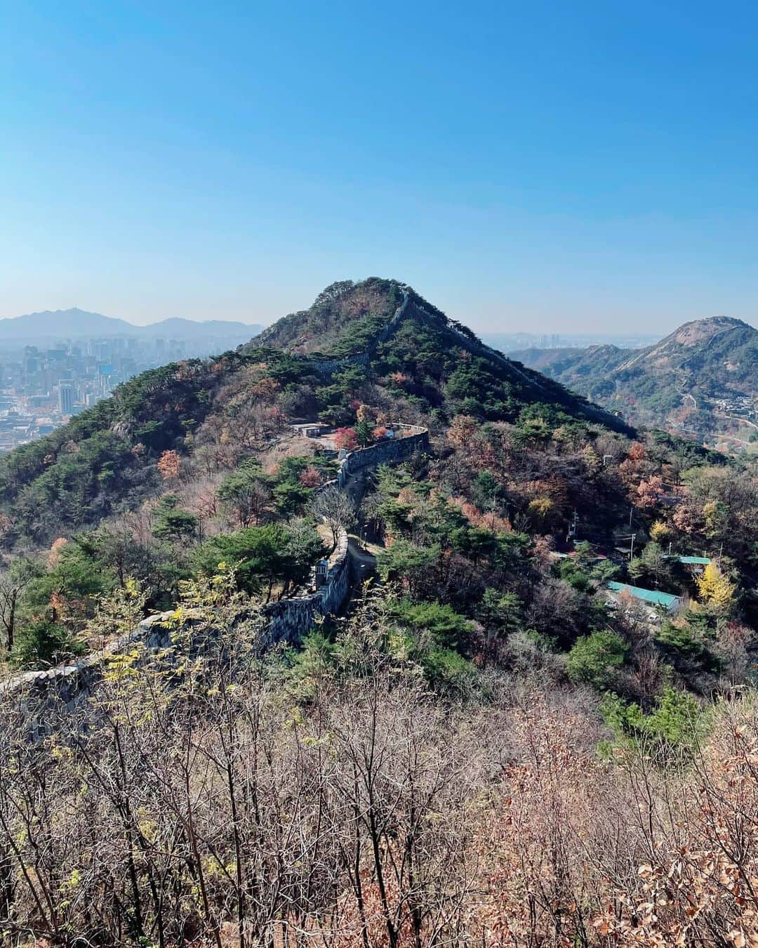 イ・シヨンさんのインスタグラム写真 - (イ・シヨンInstagram)「#북악산 52년 무려 반세기만에 시민들에게 공개되어진 북악산북측🌿한양도성길💃💯❤ 오늘 다녀왔어요. 52년동안 닫혀있었기에 엄청나게 많은 식물종들과 아름다운 자연이 잘 보존되어있어요. 우리에게 돌아왔지만 앞으로 우리가 또 잘지켜나가야하는 북악산! 가는길내내 너무 예쁘더라구요😍😍😍ㅎㅎㅎ 산책하기에  좋은거같아요.지루하지도 않고 아기자기 볼것들도 많구요! 다만 군사시설과 청와대가 가까이 있어서 입산시간에 제한이 있으니 참고하세요(11월은 오전9시부터 5시까지에요.반려견과는 같이갈수없습니다😭) 야간에는 북악산바로 옆에 있는 #인왕산 으로 가면 됩니다! #땀나는티비 #곧만나요.우리👍」11月10日 14時16分 - leesiyoung38