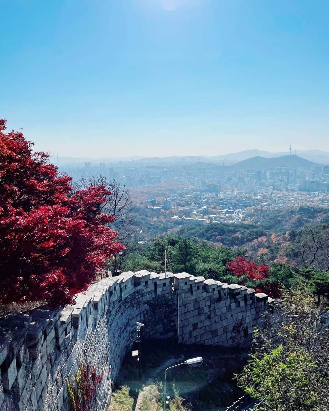 イ・シヨンさんのインスタグラム写真 - (イ・シヨンInstagram)「#북악산 52년 무려 반세기만에 시민들에게 공개되어진 북악산북측🌿한양도성길💃💯❤ 오늘 다녀왔어요. 52년동안 닫혀있었기에 엄청나게 많은 식물종들과 아름다운 자연이 잘 보존되어있어요. 우리에게 돌아왔지만 앞으로 우리가 또 잘지켜나가야하는 북악산! 가는길내내 너무 예쁘더라구요😍😍😍ㅎㅎㅎ 산책하기에  좋은거같아요.지루하지도 않고 아기자기 볼것들도 많구요! 다만 군사시설과 청와대가 가까이 있어서 입산시간에 제한이 있으니 참고하세요(11월은 오전9시부터 5시까지에요.반려견과는 같이갈수없습니다😭) 야간에는 북악산바로 옆에 있는 #인왕산 으로 가면 됩니다! #땀나는티비 #곧만나요.우리👍」11月10日 14時16分 - leesiyoung38