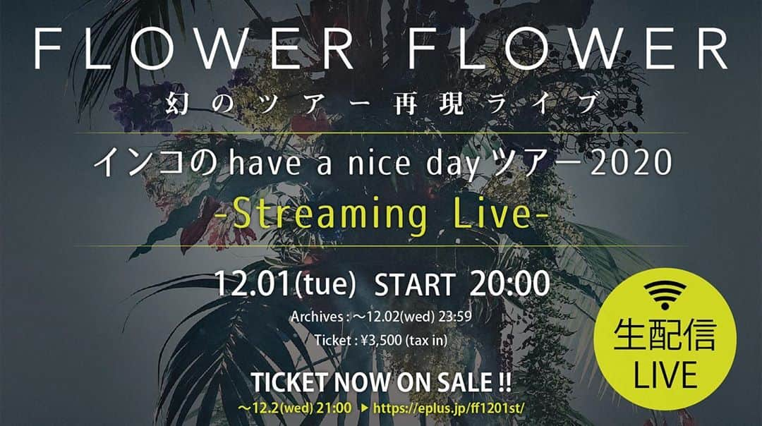 FLOWER FLOWERのインスタグラム：「🦜🦜🦜  全公演中止になってしまった 「インコのhave a nice dayツアー2020」を 新体制で12月1日(火)20時より生配信決定！！  チケット発売中！！💁‍♀️💁‍♀️  #FLOWERFLOWER #インコのhaveanicedayツアー」