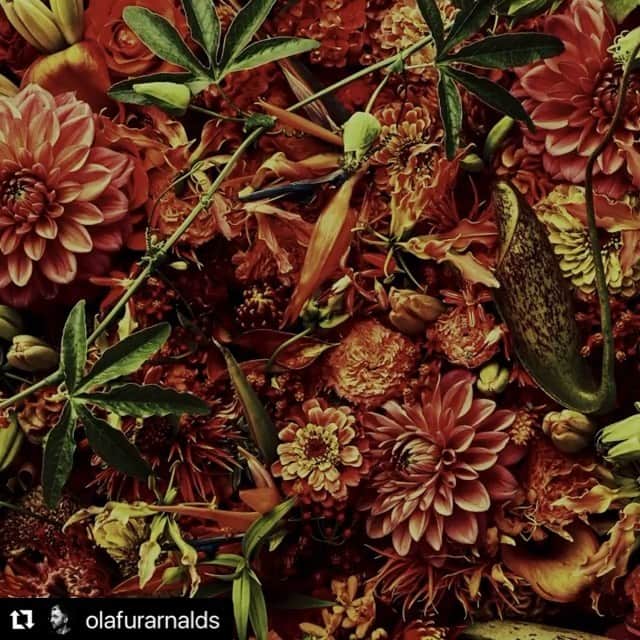 椎木俊介のインスタグラム：「#Repost @olafurarnalds with @make_repost ・・・ The Bottom Line ft. @josinmusic.  one of my personal highlights of making some kind of peace was spending time with Josin riding our bikes into the sunset, sharing deep conversations and making this song.   a visual based on the art of @azumamakoto  ps. please welcome Josin to the @mercurykx team of artists!   listen and watch in the bio link」