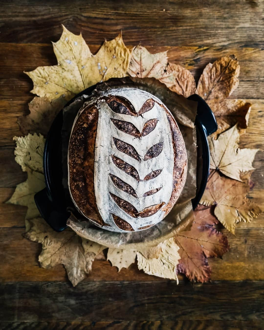 pinimariniのインスタグラム：「Mein Kind sammelt Blätter und ich nutze es als Deko - gutes Team ❤️⠀⠀⠀⠀⠀⠀⠀⠀⠀ .⠀⠀⠀⠀⠀⠀⠀⠀⠀ #bread #bakingread #brot #brotLiebe #Sauerteig #Sauerteigbrot #breadart #artisanbread #levain #sourdough #sourdoughbread #opencrumb #Herbst #HerbstZeit #saisonal #herbstdeko」