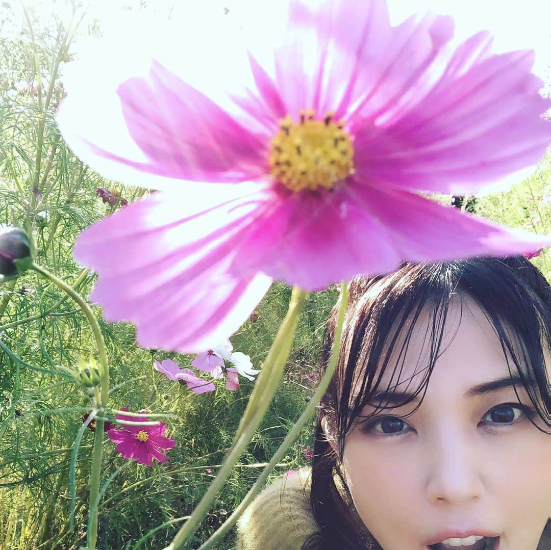 かねさだ雪緒さんのインスタグラム写真 - (かねさだ雪緒Instagram)「10月の下旬に写真を撮っていただいたのだけど お天気よくてとても気持ちが良かった！ コスモス畑に寄ってお花も頂いて帰りました🌸  ひとまず自分のスマホの自撮り達です コロナでだいぶ太ってしまったので 出来上がりのデータ貰うの少し怖いなー😭 これから頑張って痩せなきゃ😭  #上総川間駅」11月10日 15時46分 - yukiokanesada