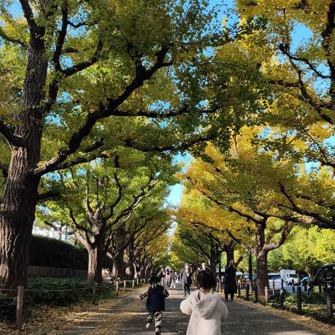 宮下ともみのインスタグラム：「神宮外苑銀杏並木🌲🍁 子どもたちは下のどんぐりの方が気になるよね😁秋だねぇ🍂  #神宮外苑いちょう並木 #シェイクシャック外苑いちょう並木店 #どんぐり拾い #幼馴染カップル #秋だねぇ」