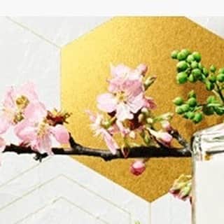 planticaさんのインスタグラム写真 - (planticaInstagram)「日本の自然が育んだ、六種の和素材＜桜花、桜葉、煎茶、玉露、山椒、柚子＞。日本ならではの六種のボタニカルを使用した、ジャパニーズクラフトジン 「ROKU」。 – 日本の美意識を纏わせたボトルデザインは、各面に日本の六種のボタニカルの彫刻を入れて、味わいのハーモニーを表現した六角形の瓶。  ラベルには、日本の技と情緒を表現する和紙に、荻野丹雪氏による、志を感じさせる力強い「六」の筆文字が颯爽と走っています。 – 「ROKU」の個性と特徴を忠実に表現するため、生け花の手法を用いて表現しました。  ビジュアルに使用された花材は、「ROKU」で使用されている六種のボタニカル素材です。六種のそれぞれのフレーバーとテイストが感じられるような存在感を出しています。 – SUNTORY THE JAPANESE CRAFT GIN 「ROKU」 サントリー ジャパニーズクラフトジン 「六」  #suntory #suntorywhisky #roku」11月10日 16時04分 - plantica_jp